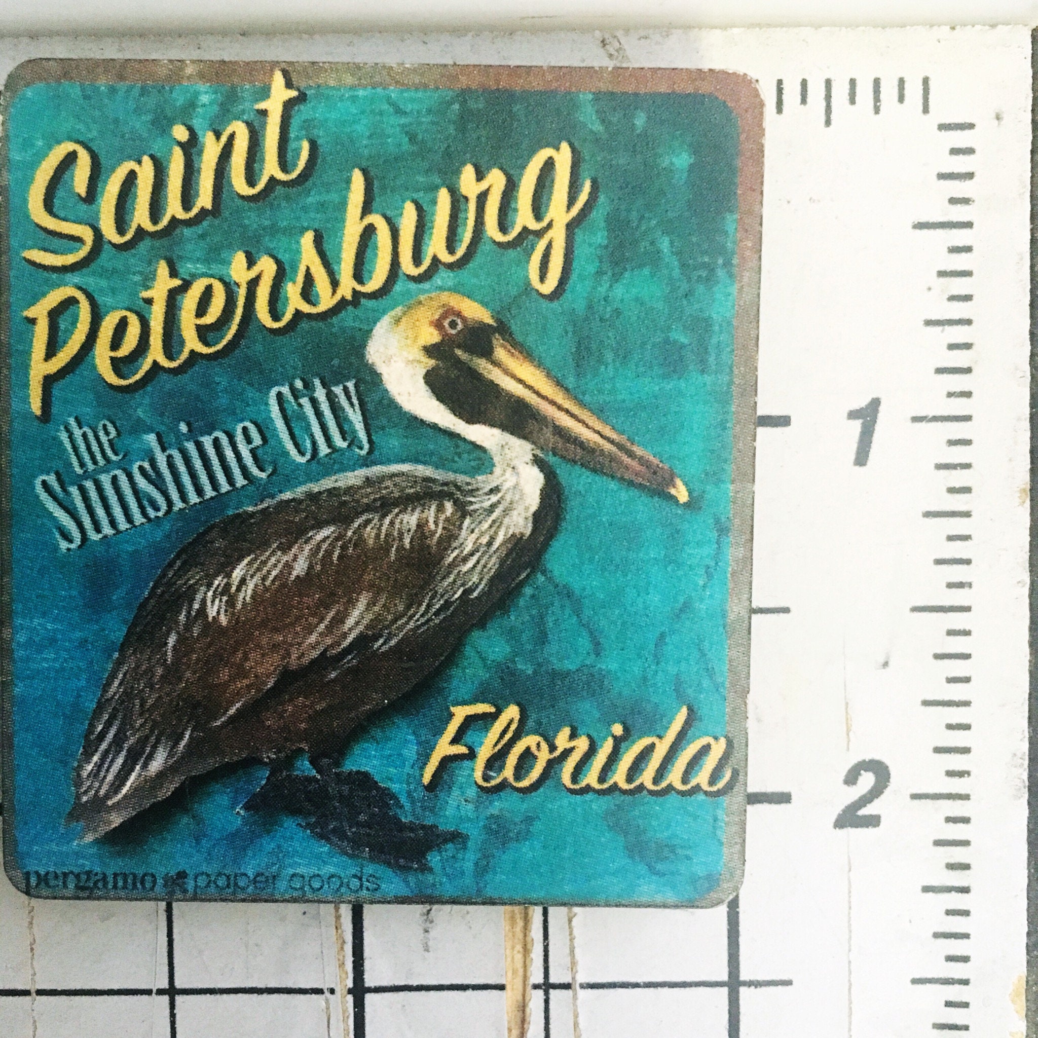 Saint Petersburg Magnet, St Pete Souvenir Refrigerator Magnets Fridge, Florida Magnet Laser Cut Wood Brown Pelican Tampa Bay Wholesale FL - Thumbnail 4