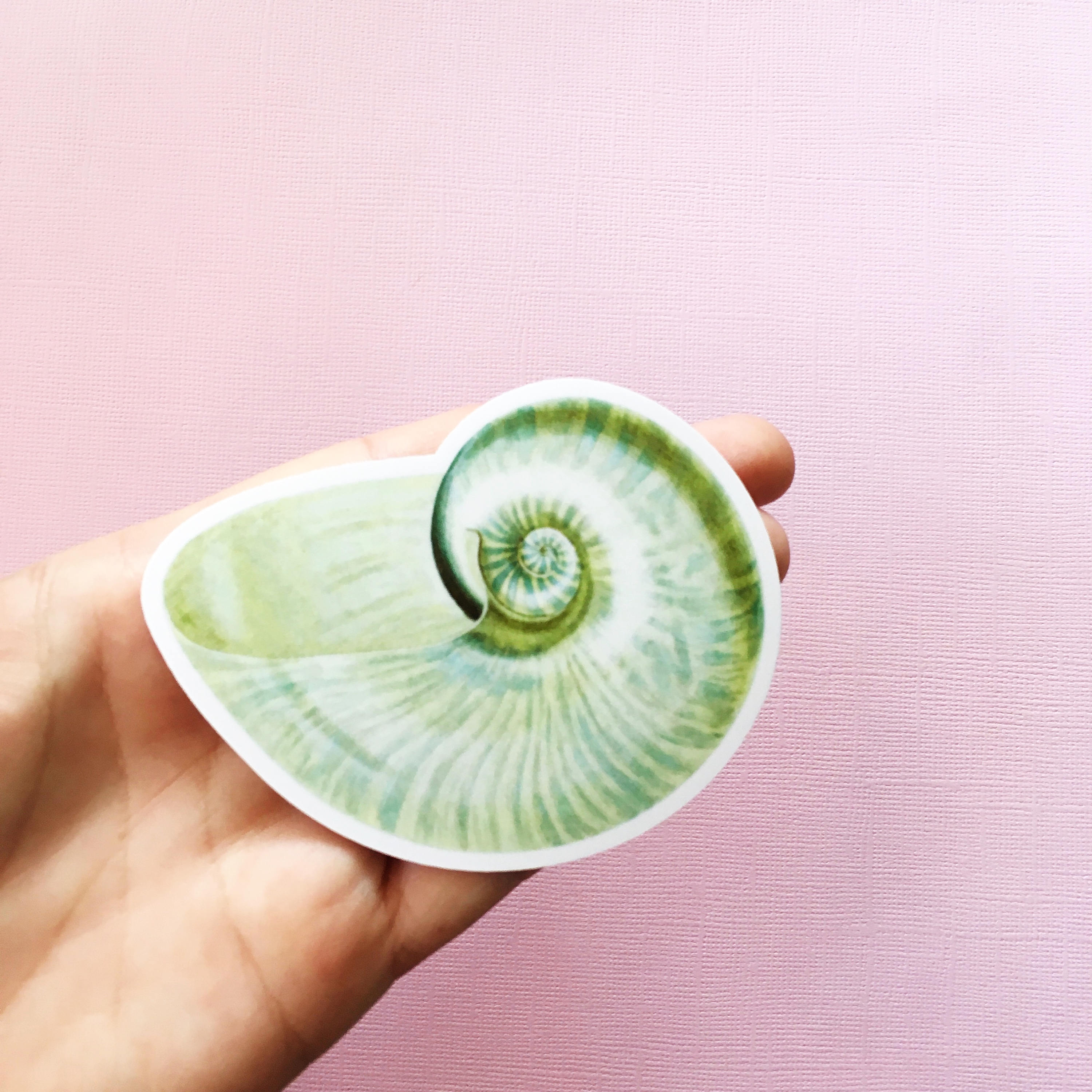 Green Seashell Sticker, Beachy Vintage Vinyl Sticker, Shell Sticker, Beach Vinyl Ocean Sticker Nautilus Sticker Laptop Sticker - Thumbnail 3