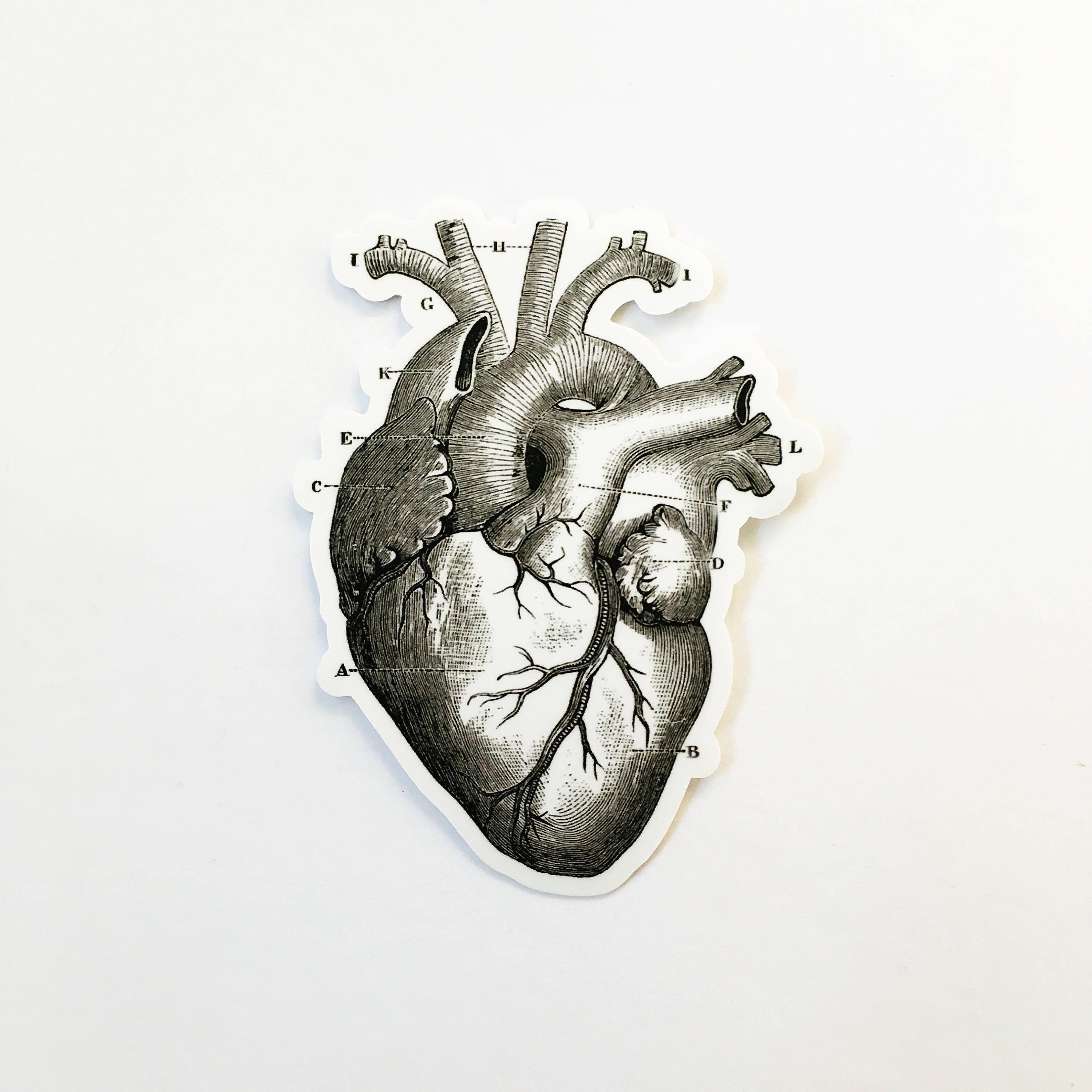 Heart Laptop Stickers, Anatomical Grays Anatomy Vintage Halloween Vinyl Sticker Pack, Creepy Decals, Vinyl Decal, Gift for Doctor or Nurse - Thumbnail 2