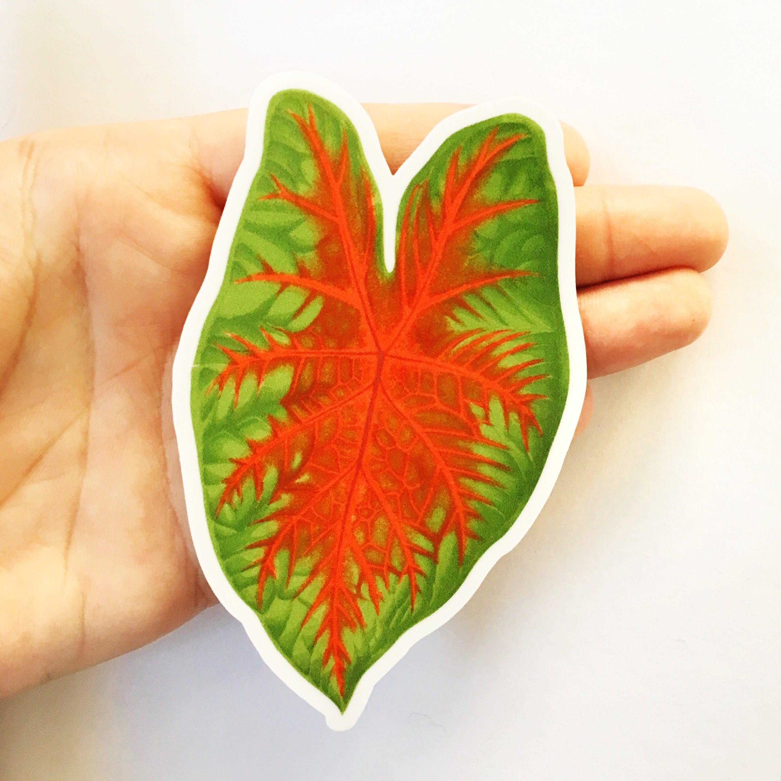 Tropical Leaf Sticker, Caladium Vinyl Stickers, Laptop Sticker Pack, Outdoor Leaf Decal, Water Bottle Vintage Botanical, Yeti Hydroflask - Thumbnail 3