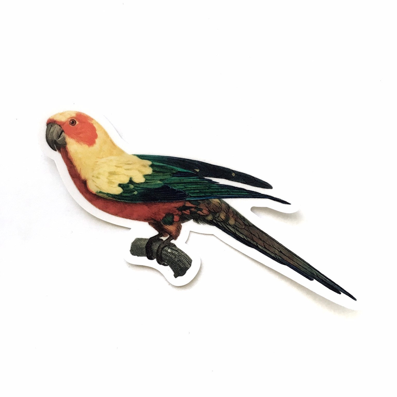Bird Sticker, Tropical Vinyl Sticker Pack, Bumper Stickers, Laptop Parrot Parakeet, Water Bottle Decal Vintage Antique Hydroflask Flask Bulk - Thumbnail 3