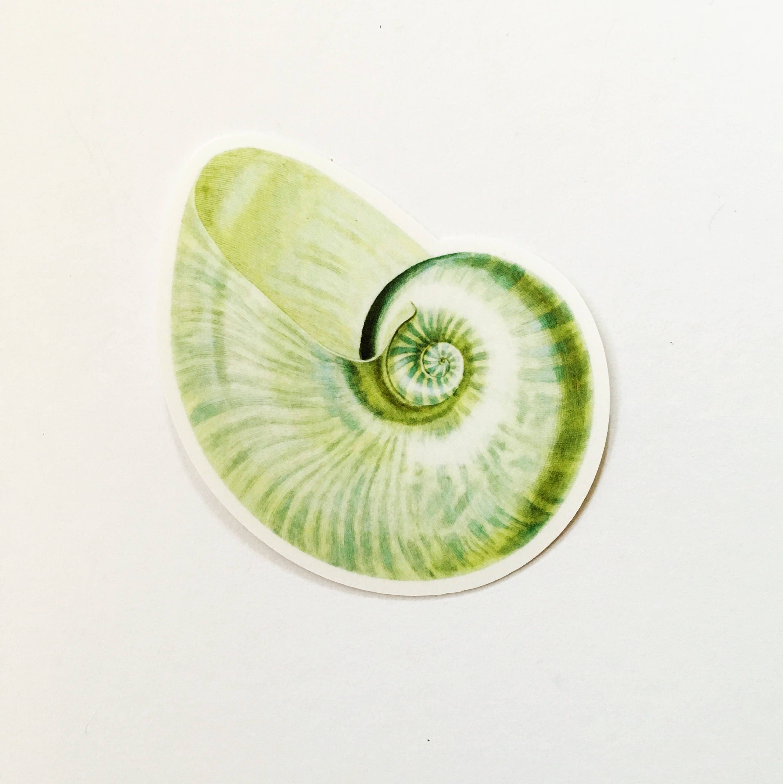 Green Seashell Sticker, Beachy Vintage Vinyl Sticker, Shell Sticker, Beach Vinyl Ocean Sticker Nautilus Sticker Laptop Sticker - Thumbnail 2