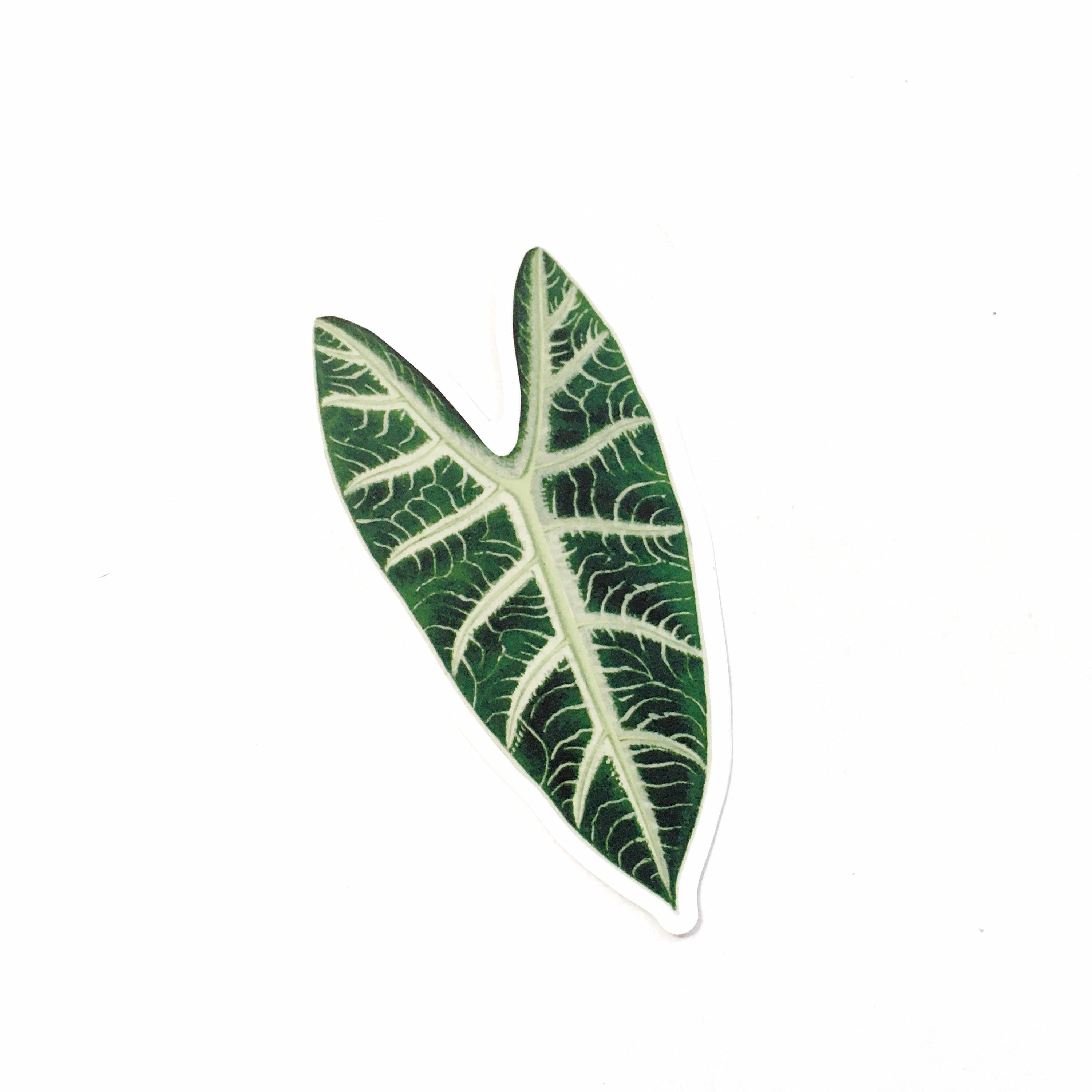 Elephant Ear Stickers, Alocasia Vinyl Sticker Pack, Laptop Decals Vintage Decal Botanical Illustration Plant Mom Plants Tropical Houseplants - Thumbnail 2
