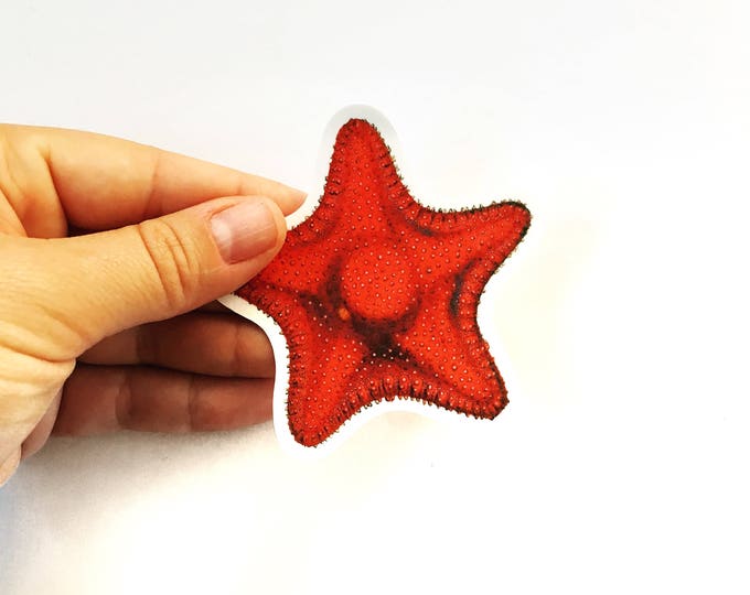 Red Fish Sticker Soldierfish Vinyl Vintage Stickers Bumper - Etsy