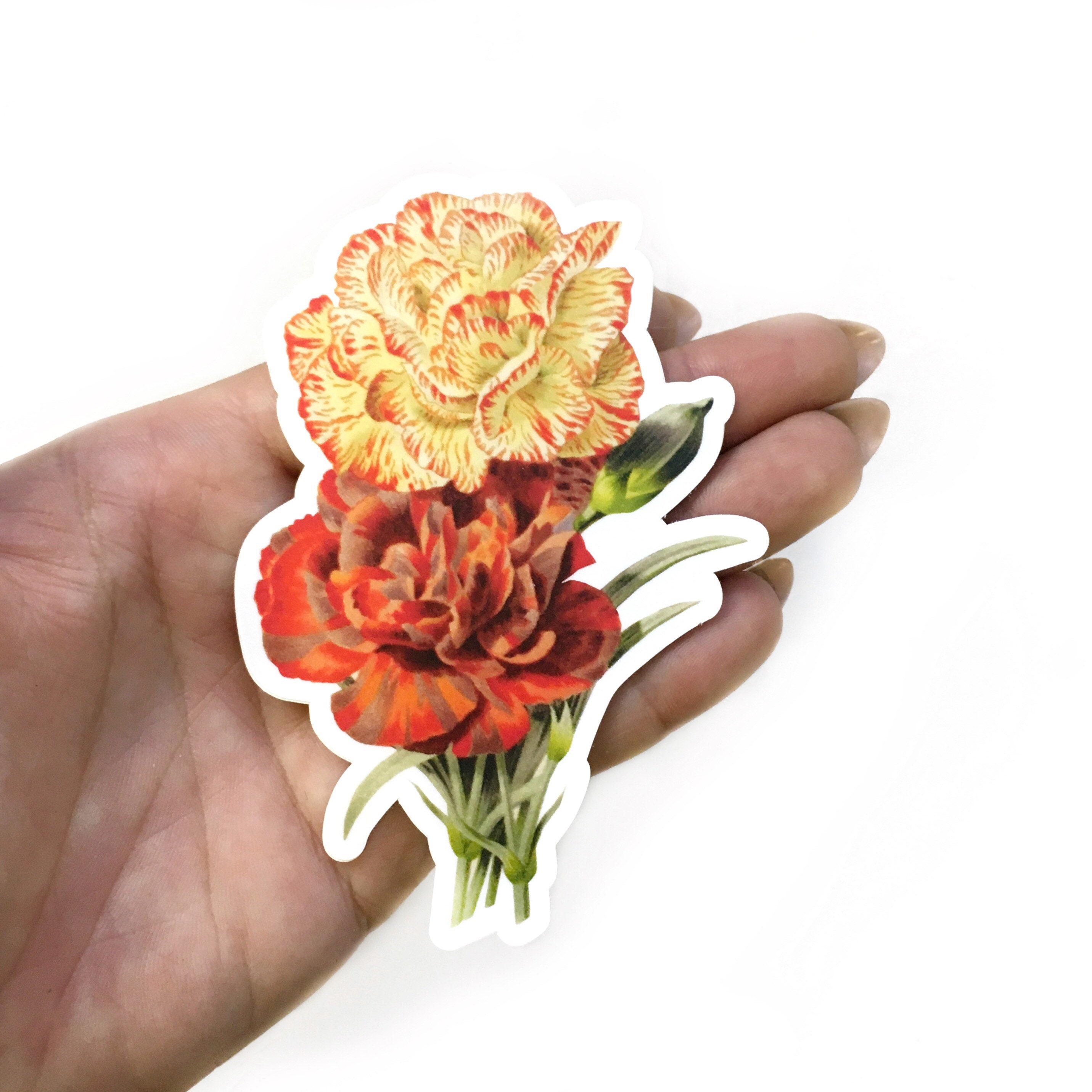 Carnation Stickers, Flower Vinyl Sticker Pack, Laptop Decals Vintage Flowers Decal Botanical Illustration Plant Mom Plants, Cottage Core
