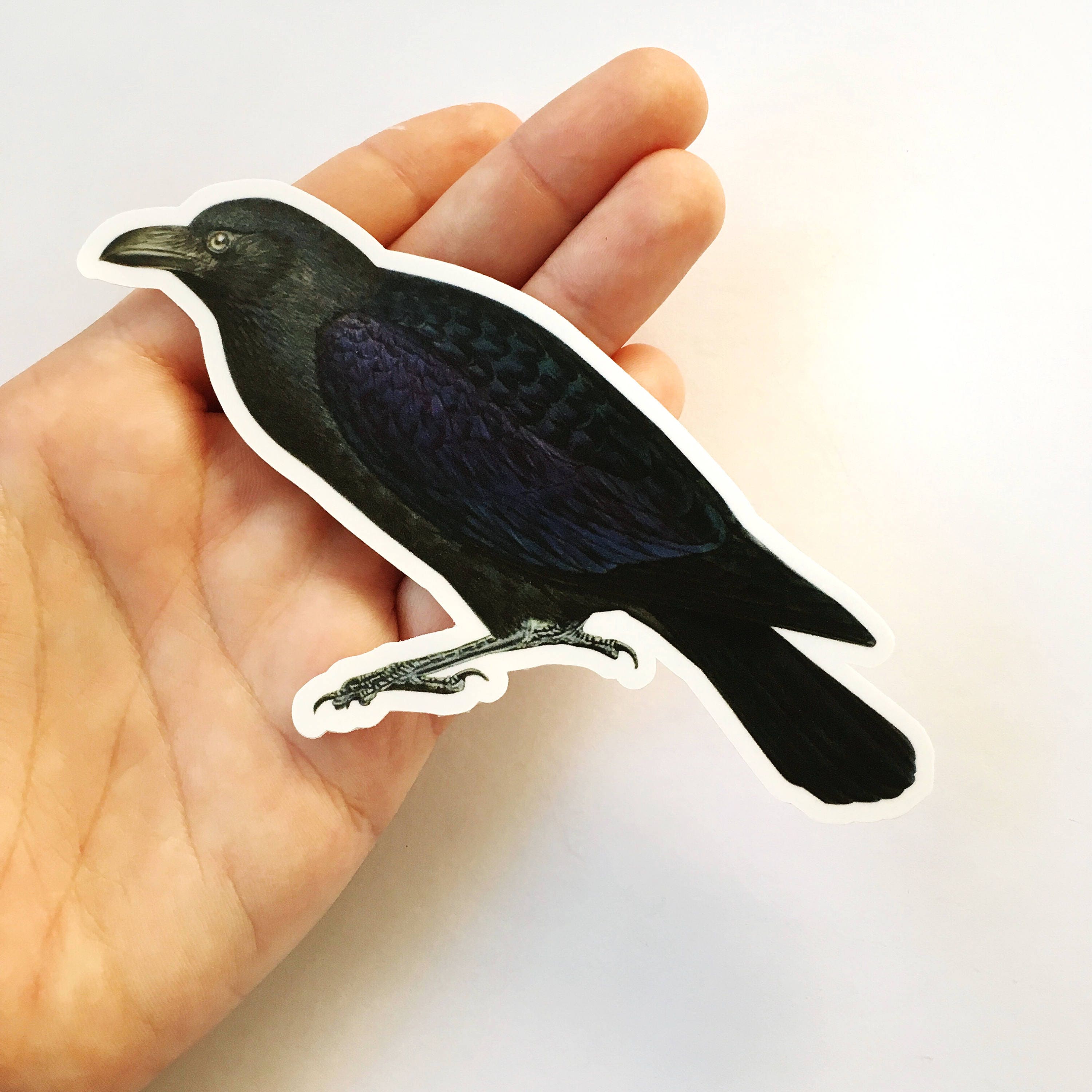 Black Crow Sticker, Naturalistic Vintage Raven Vinyl Stickers Laptop, Creepy Vinyl Decal, Halloween Dark Horror Goblincore Wholesale Decals