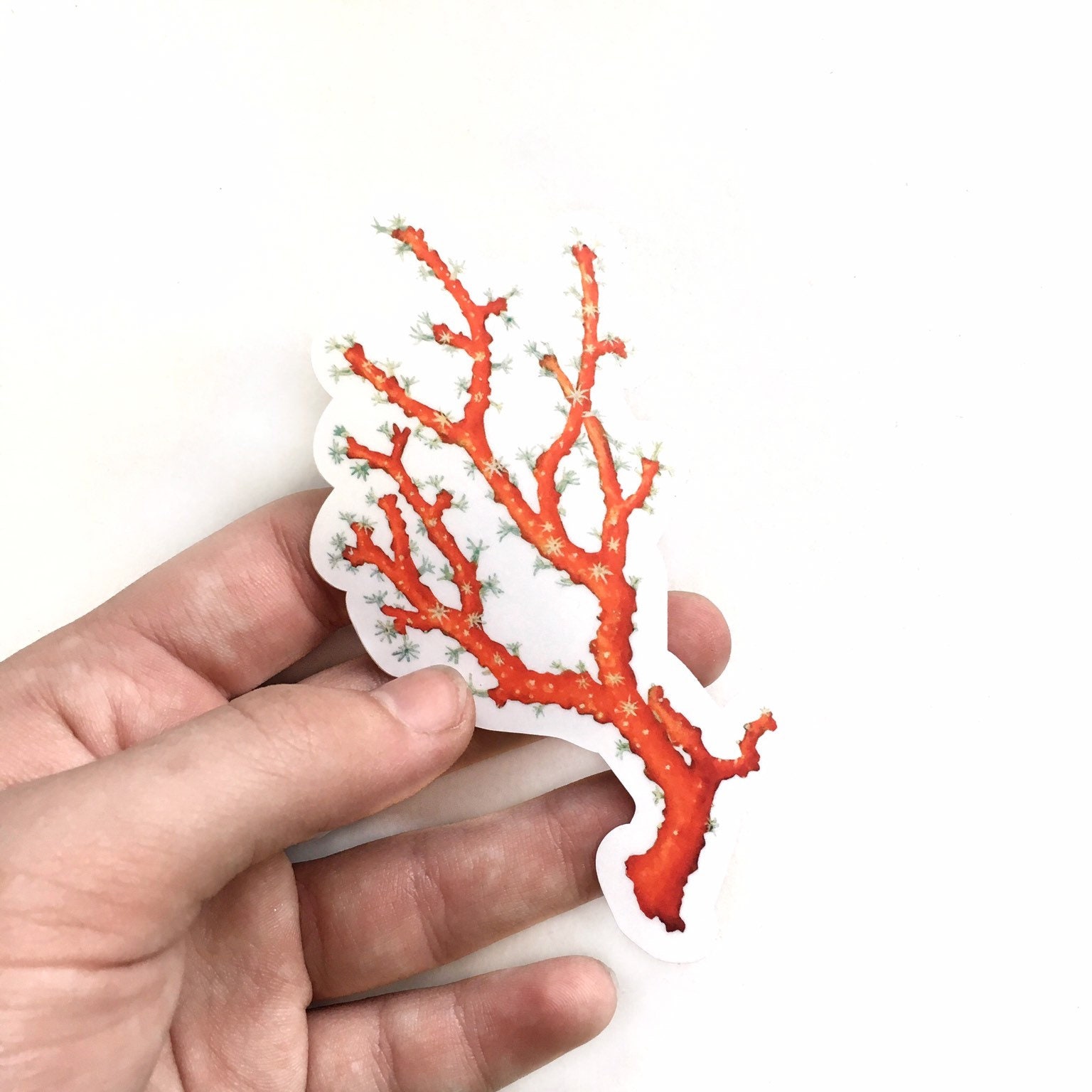 Red Coral Sticker, Vintage Botanical Vinyl Sticker Pack, Antique Sea Life Stickers, Ocean Laptop Decals, Beach Life Decal for Journal, Flask - Thumbnail 2