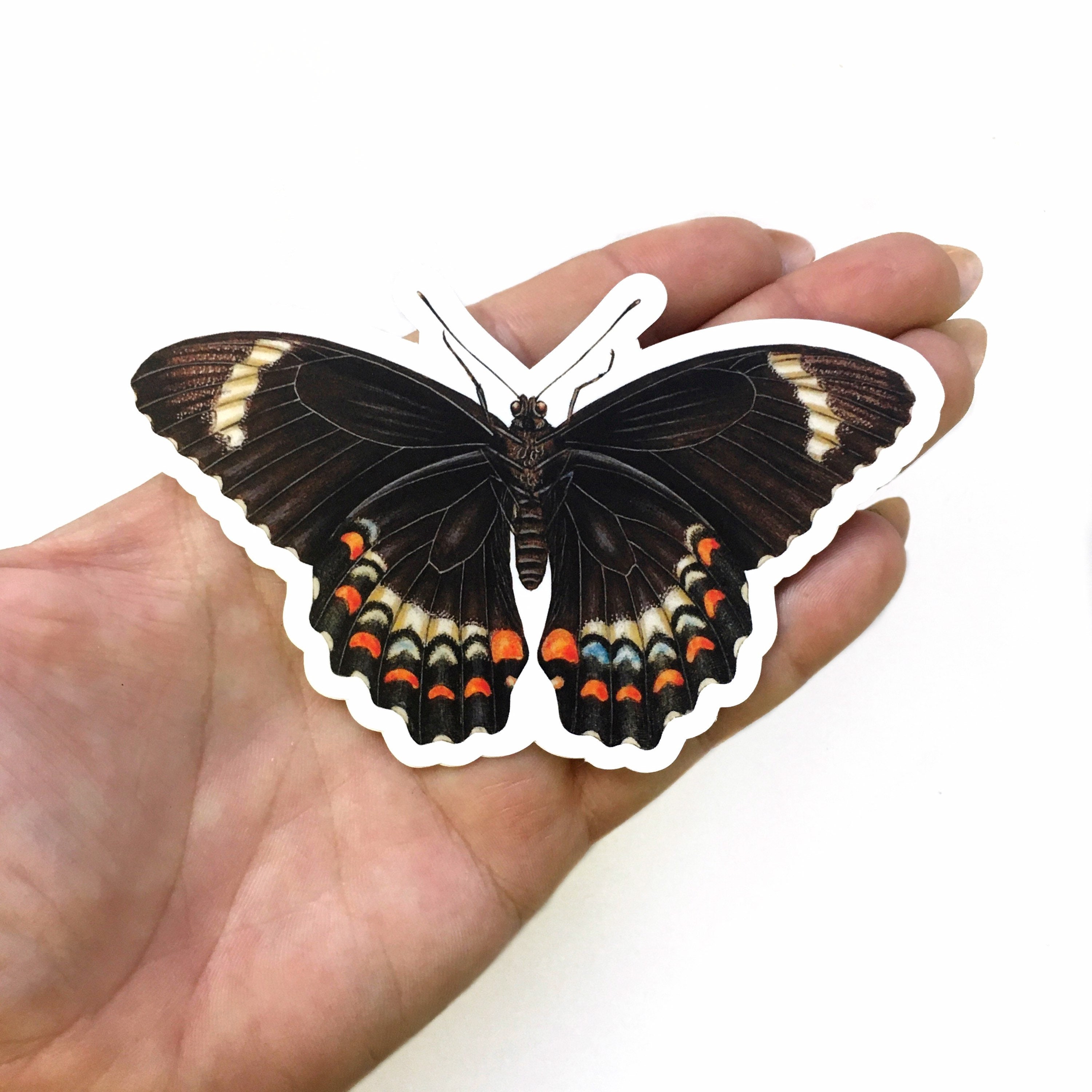Black Butterfly Stickers, Vintage Sticker Pack, Durable Decals for Junk Journal, MacBook Decal for Laptop, Antique Illustrated Gifts