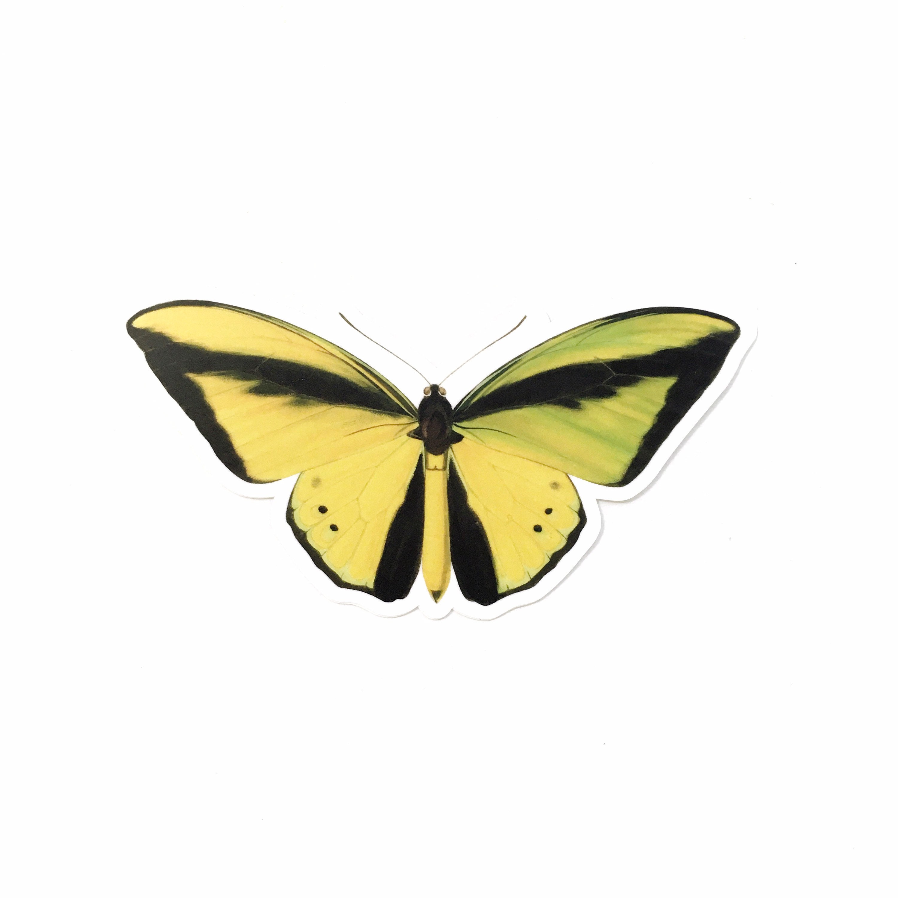 Yellow Butterfly Stickers, Vintage Sticker Pack, Durable Decals for Junk Journal, Laptop Decal for Planner, Antique Illustrated Gifts Garden - Thumbnail 2
