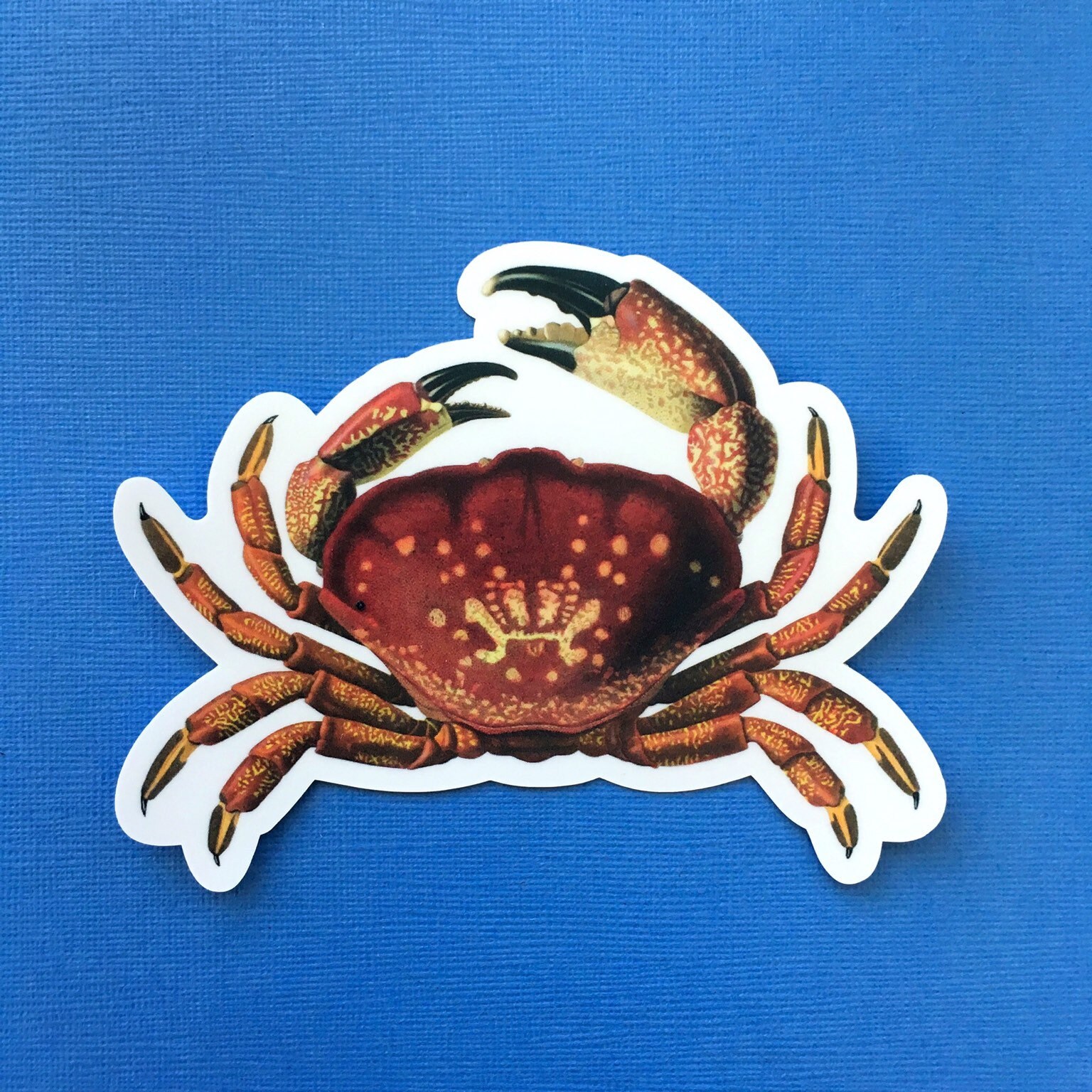 Crab Sticker, Vinyl Stickers, Macbook Sticker Pack, Florida Laptop Decal, Outdoor Decals for Water Bottle Hydroflask Bullet Journal, Crabs - Thumbnail 3