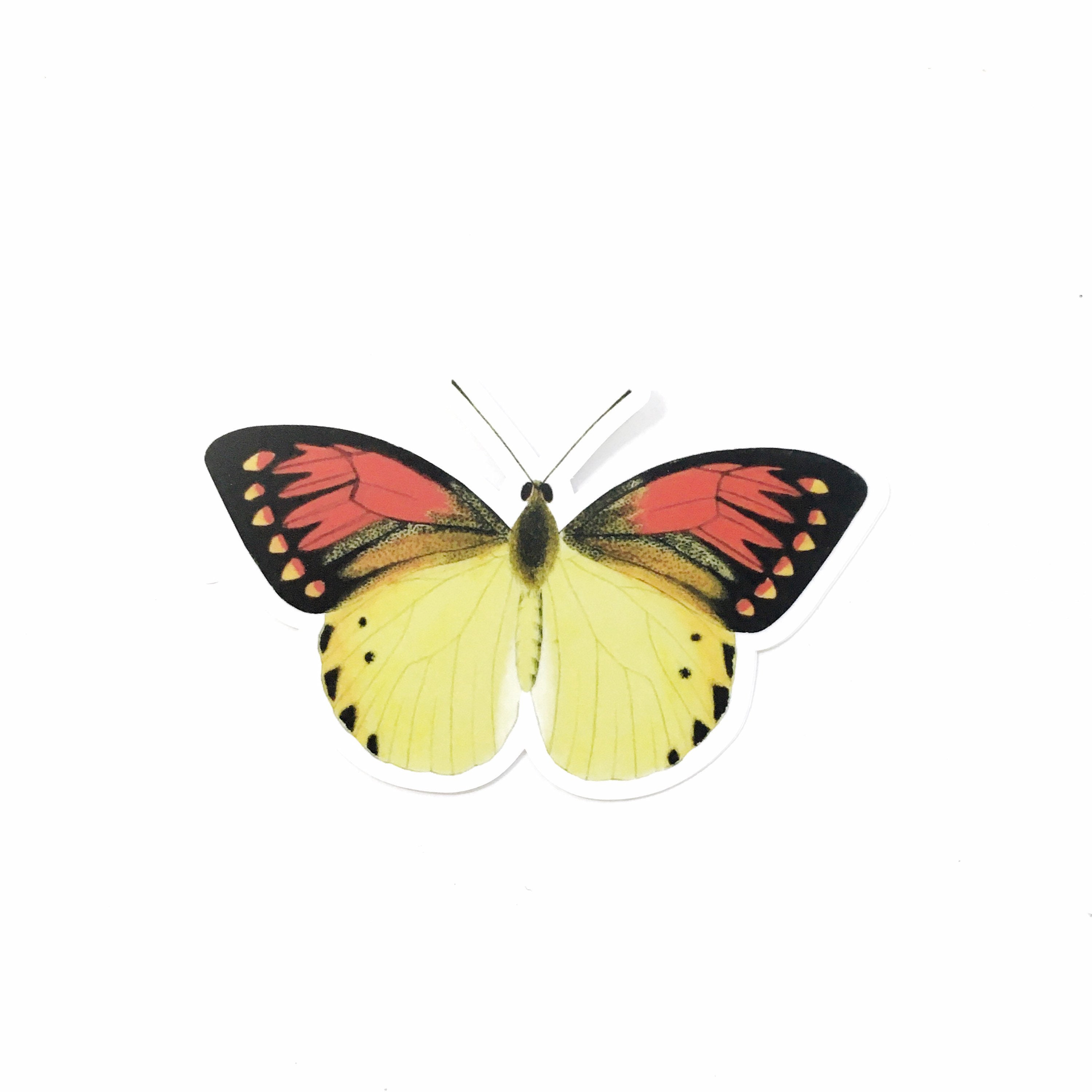 Butterfly Vinyl Stickers, Red Yellow Sticker Pack, Mix and Match Decals, Retro Nonfade Vintage Water Bottle MacBook Hydro Flask Decal Nature - Thumbnail 2