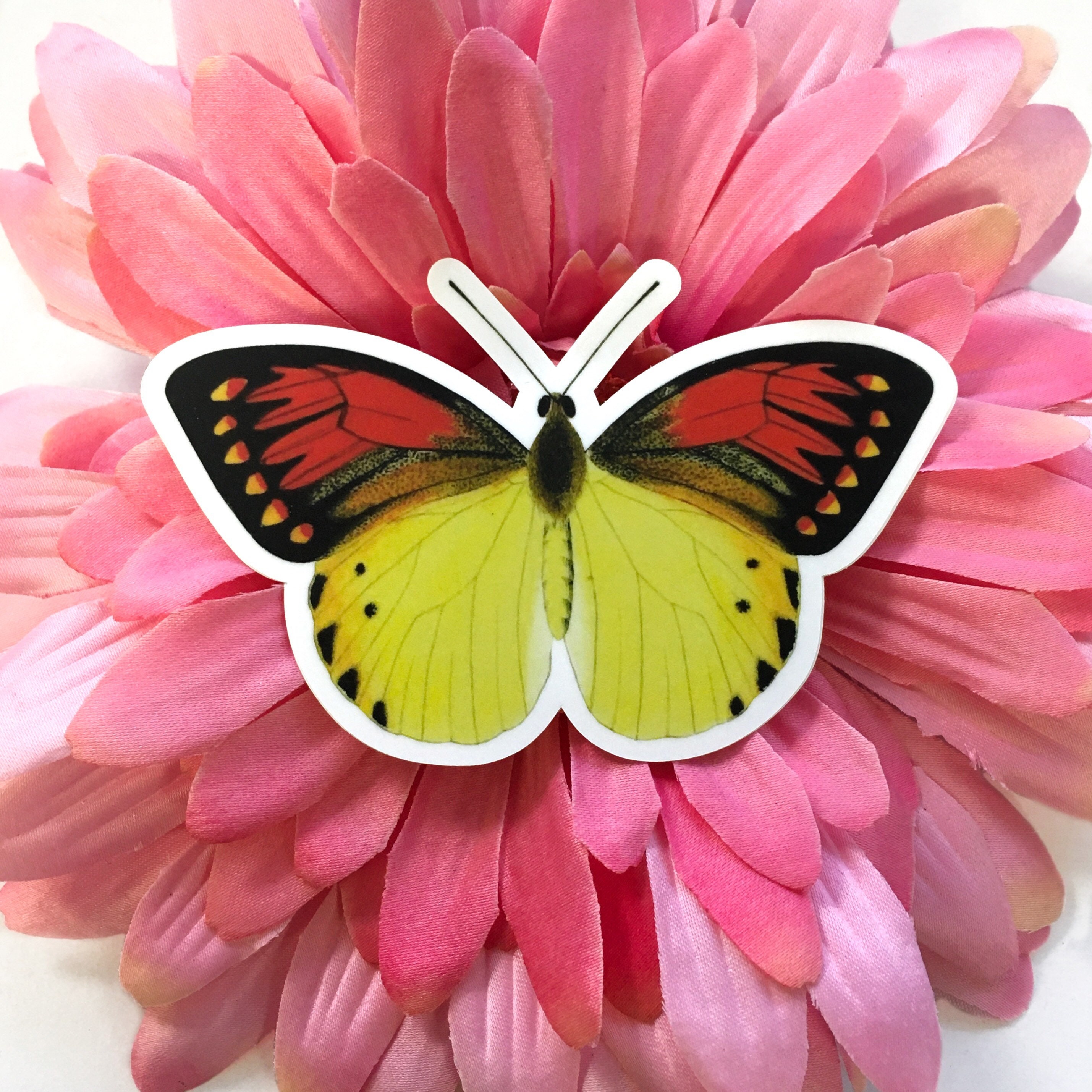 Butterfly Vinyl Stickers, Red Yellow Sticker Pack, Mix and Match Decals, Retro Nonfade Vintage Water Bottle MacBook Hydro Flask Decal Nature - Thumbnail 3