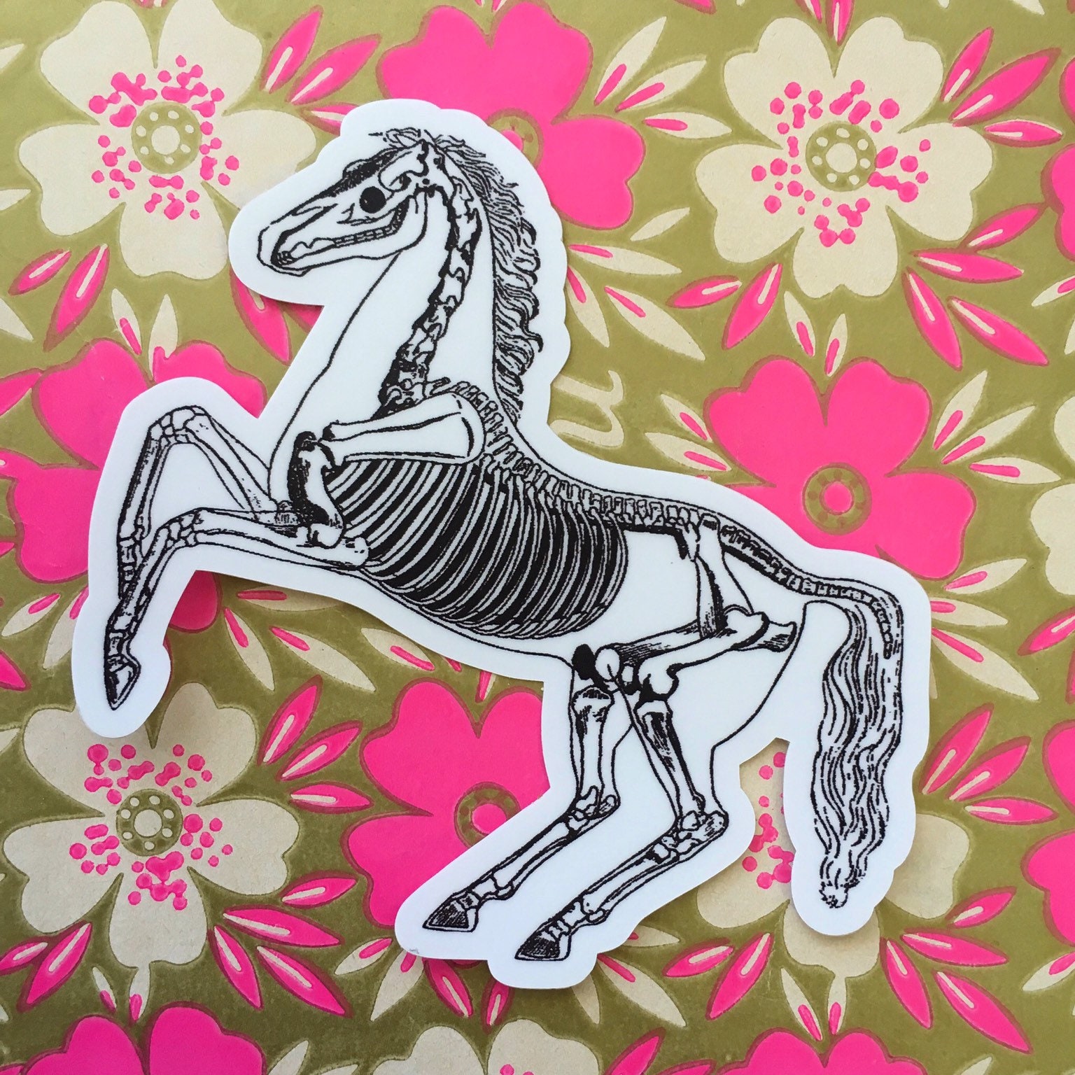 Horse Sticker, Vinyl Nonfade Skeleton Decal, Laptop Sticker Pack, Vintage Halloween Stickers, Bumper Macbook, Fathers Day Decals Anatomy - Thumbnail 2