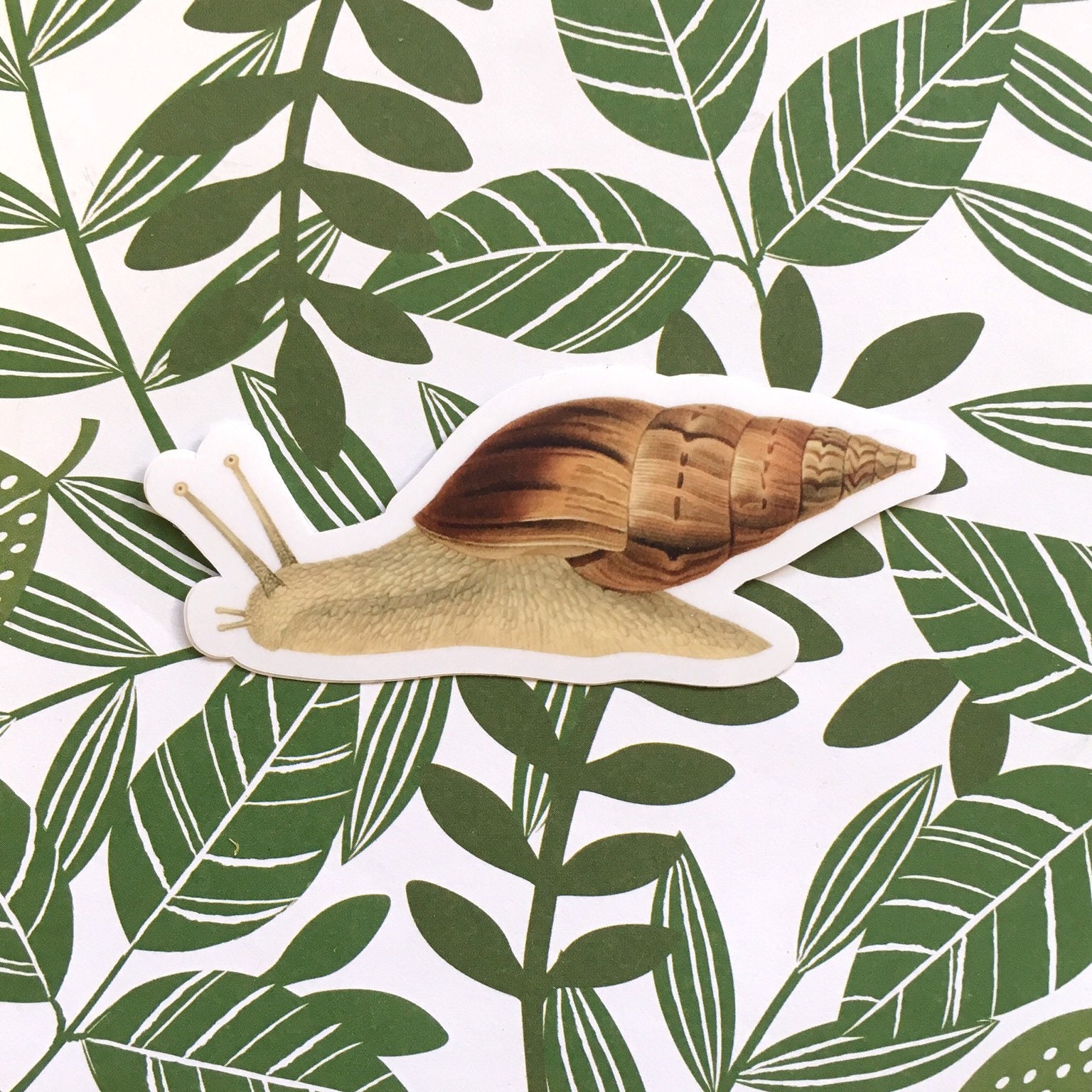 Snail Sticker, Vintage Botanical, Vinyl Sticker Pack, Antique Sea Life, Ocean Laptop Stickers, Garden Gifts Snail Shell, Weird Junk Journal - Thumbnail 3