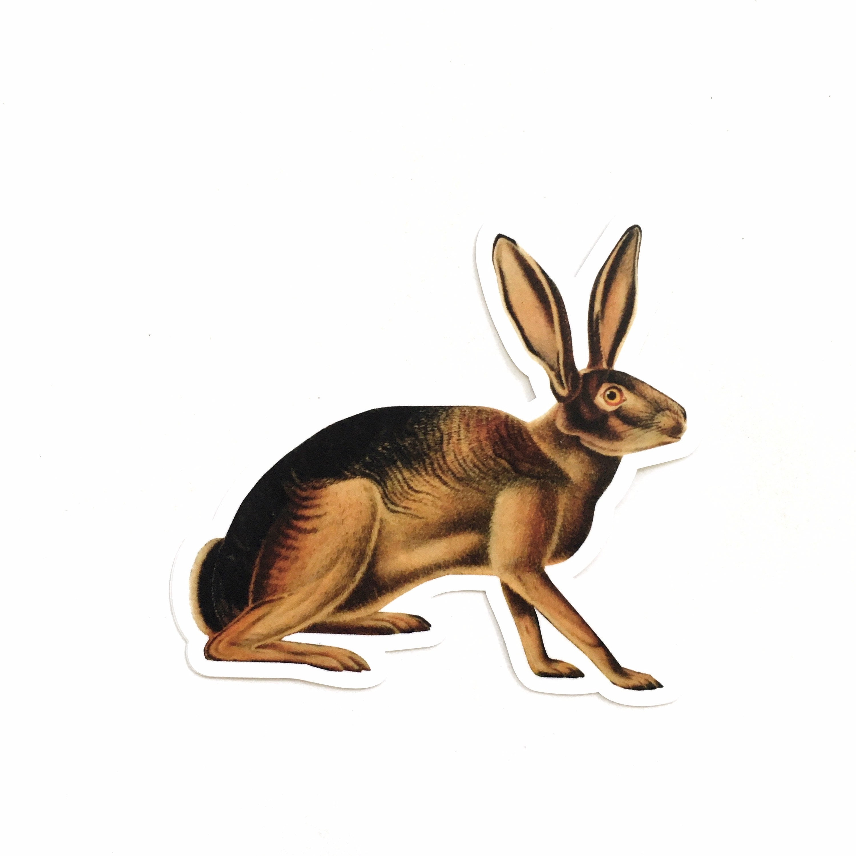 California Hare Sticker Pack, Naturalistic Vintage Vinyl Stickers, Rabbit Spooky Animal Decal, Laptop Decals, Antique Natural Durable - Thumbnail 3