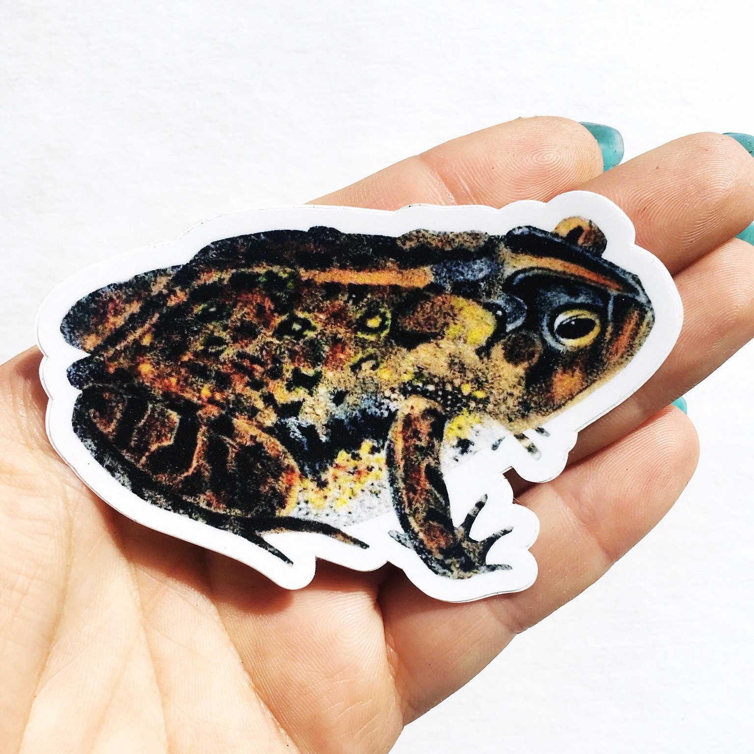 Frog Laptop Sticker, Antique Toad Vinyl Vintage Stickers, Fun Outdoor Car Decals, Laptop Decal Nonfade Waterbottle for men women kids friend
