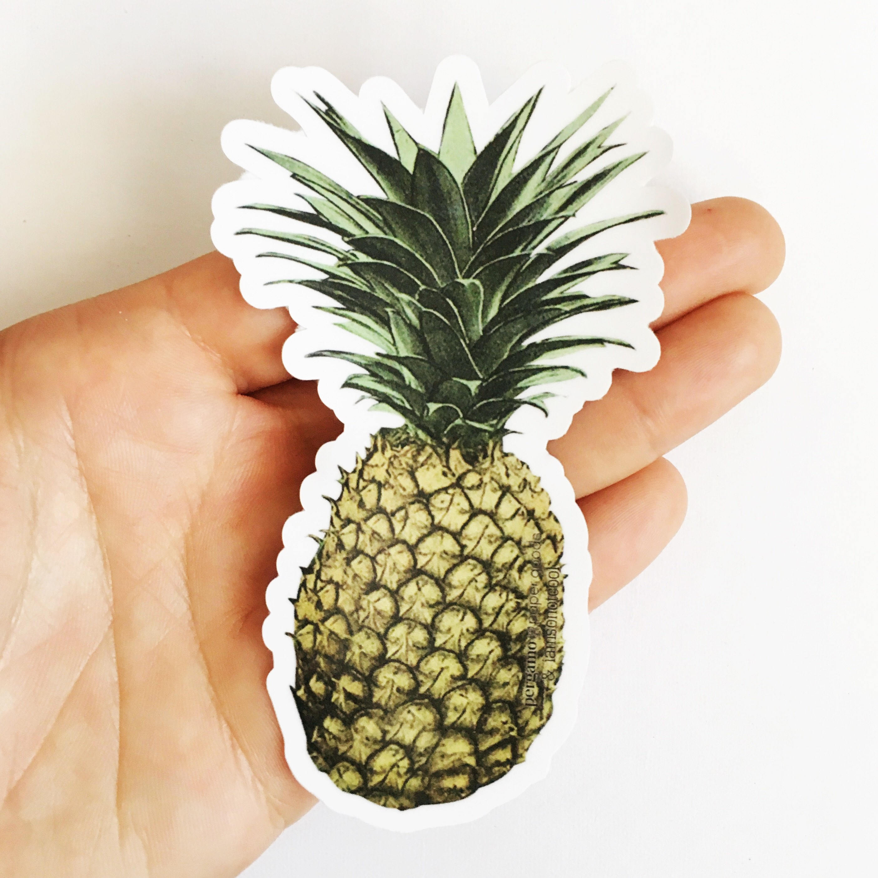 Pineapple Sticker, Vinyl Vintage Laptop Stickers, Bumper Flask Macbook Decal, Car Decals Yeti, Tropical Beachy Hawaii Luau Beach Vacation - Thumbnail 2