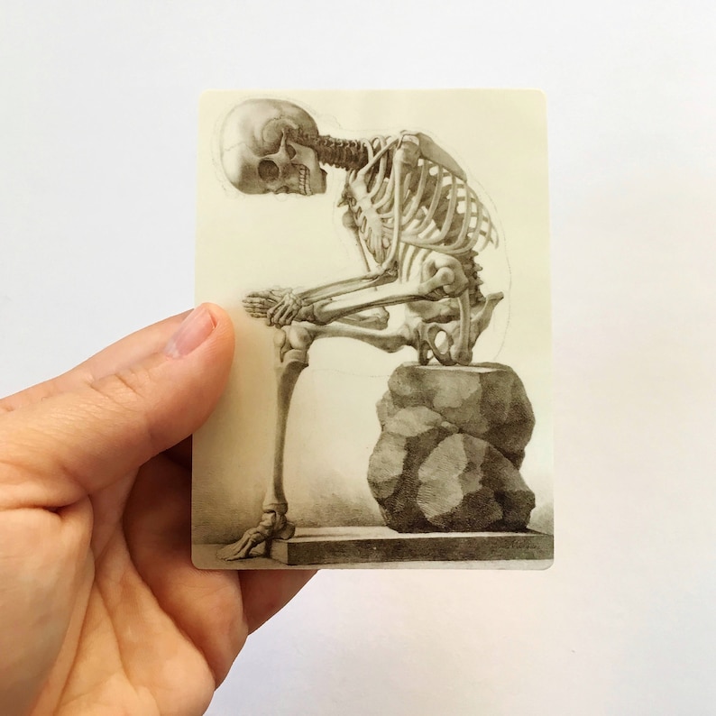 May include: A detailed drawing of a human skeleton sitting on a rock. The skeleton is depicted in a contemplative pose, with its head resting on its hand.