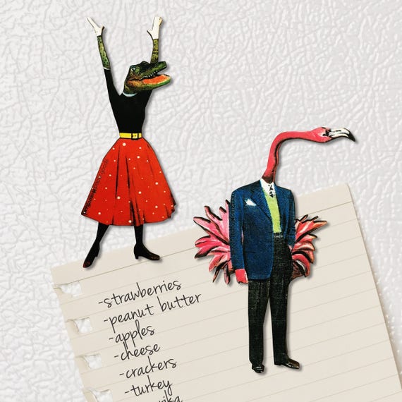 Florida Magnet Set Animal Refrigerator Magnets Fridge - Etsy 日本