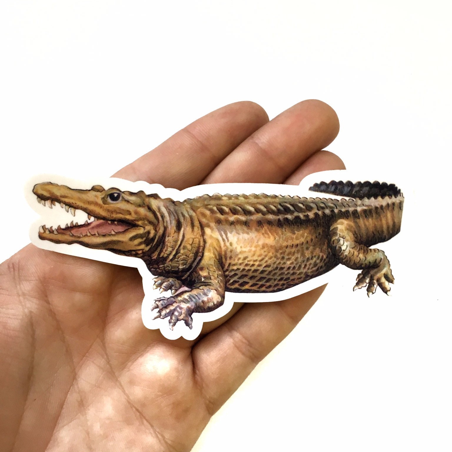 Alligator Sticker, Vintage Florida Vinyl Sticker Pack, Bumper Stickers, Laptop Decals, Hydroflask Decal, Waterbottle Junk FL 50s 60s 70s