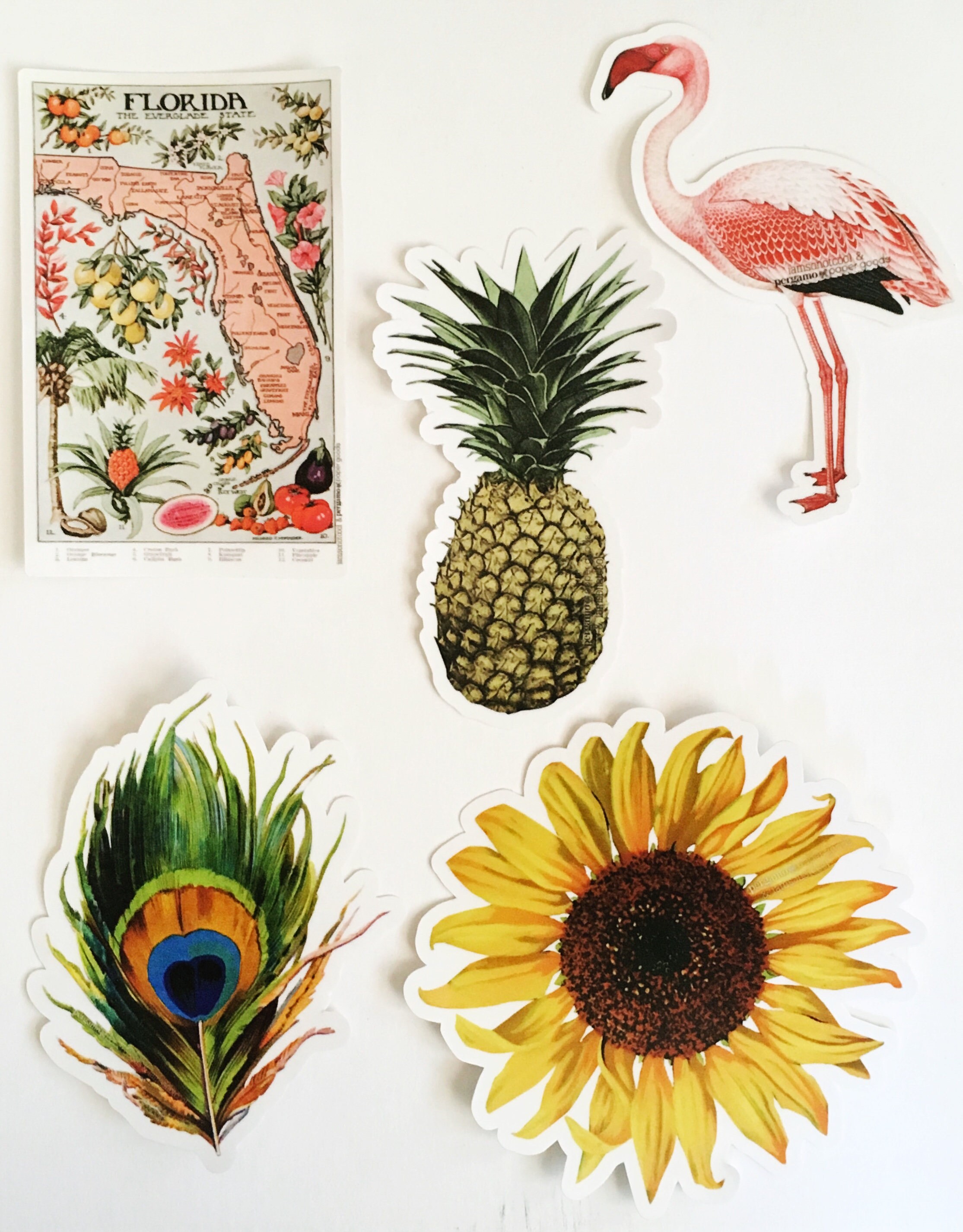 Vinyl Sticker Pack 5, Vintage Laptop Stickers, Camera Decal, Pineapple Decals, Sunflower Florida Flamingo Bee Pickle Peacock Butterfly