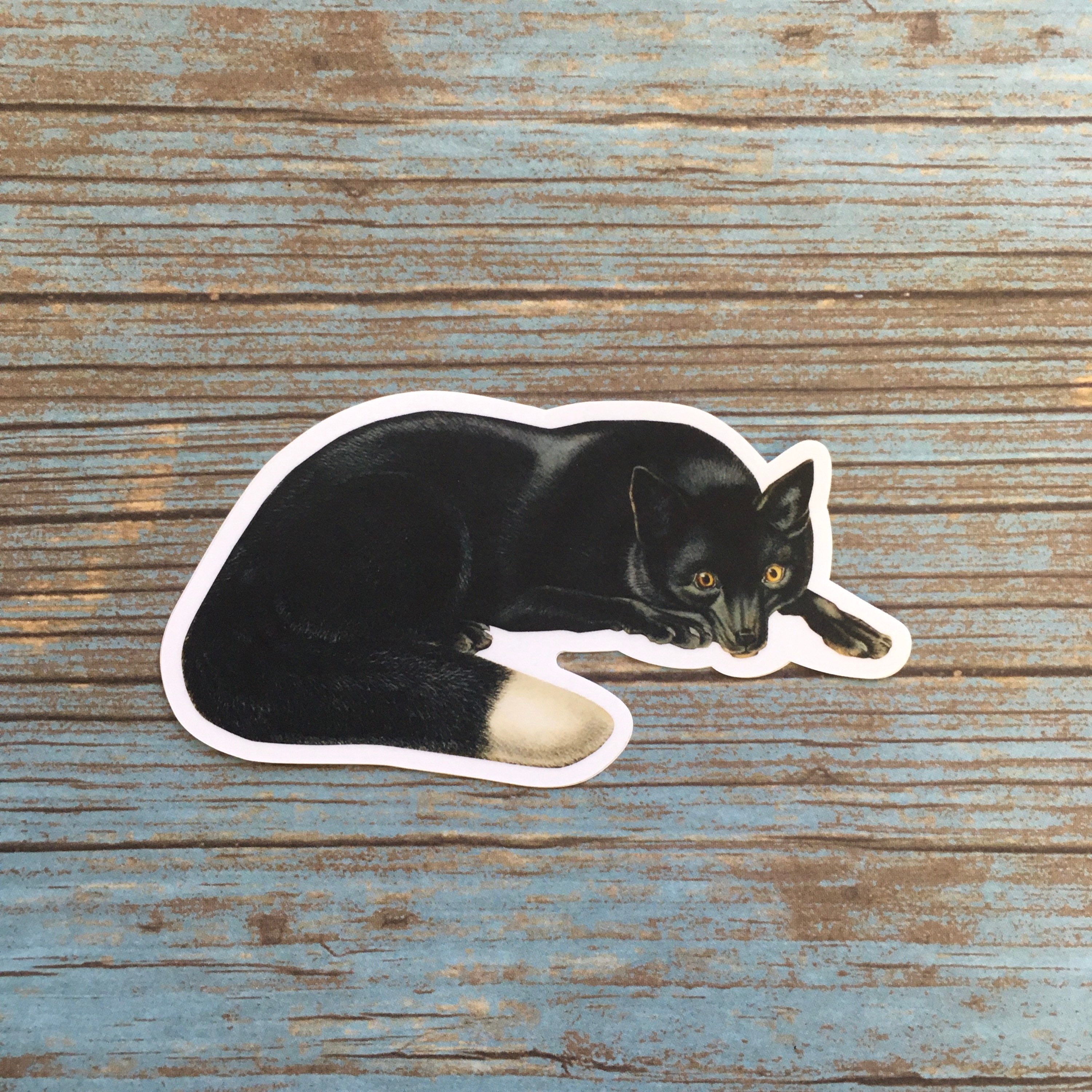 Black Fox Sticker, Naturalistic Vintage Animal Vinyl Stickers Laptop, Creepy Vinyl Decal, Halloween Flask Yeti Dark Horror Wholesale Decals - Thumbnail 2