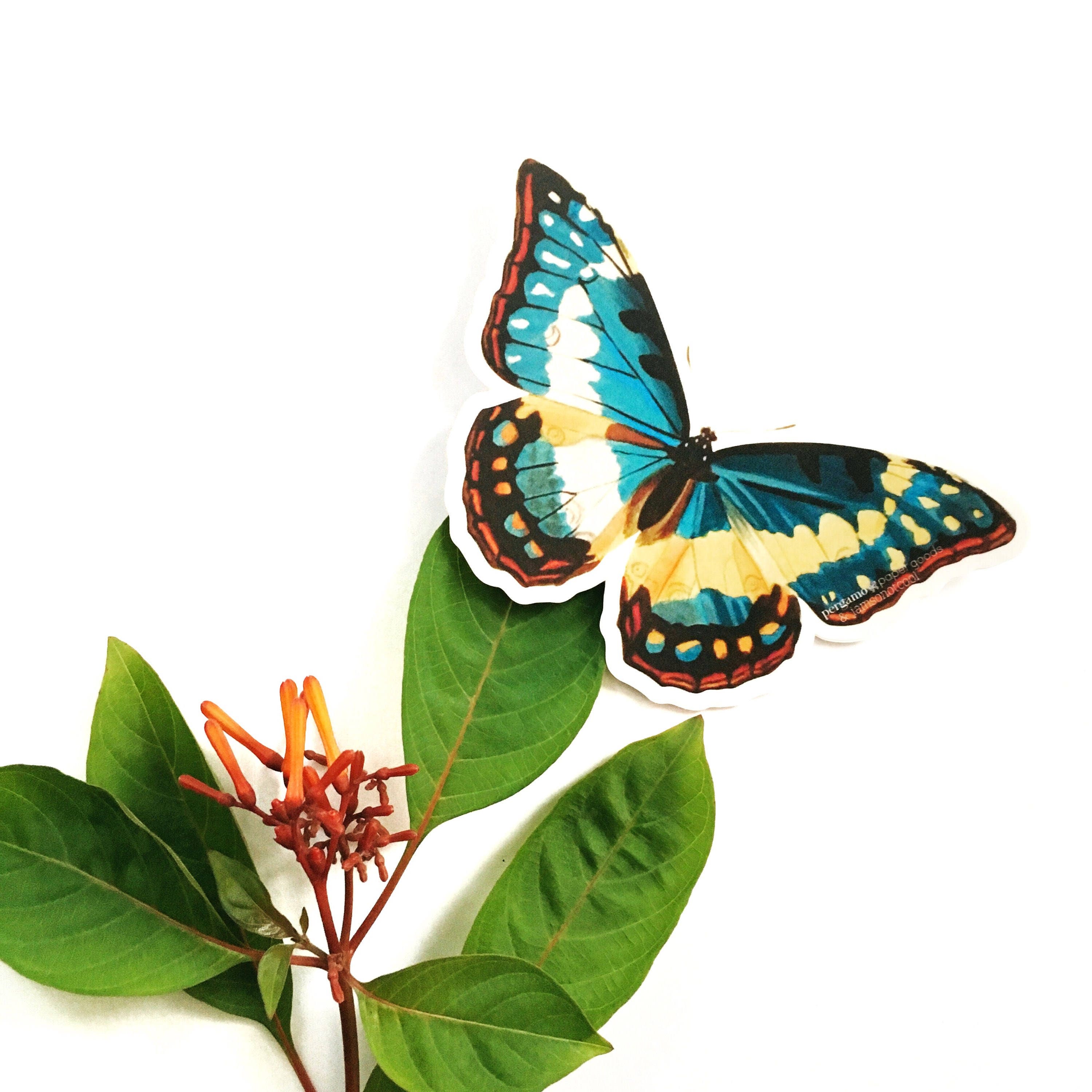 Butterfly Laptop Sticker Pack, Mix and Match Decals, Retro Vinyl Stickers, Nonfade Vintage Pretty Outdoor Water Bottle MacBook Decal Nature