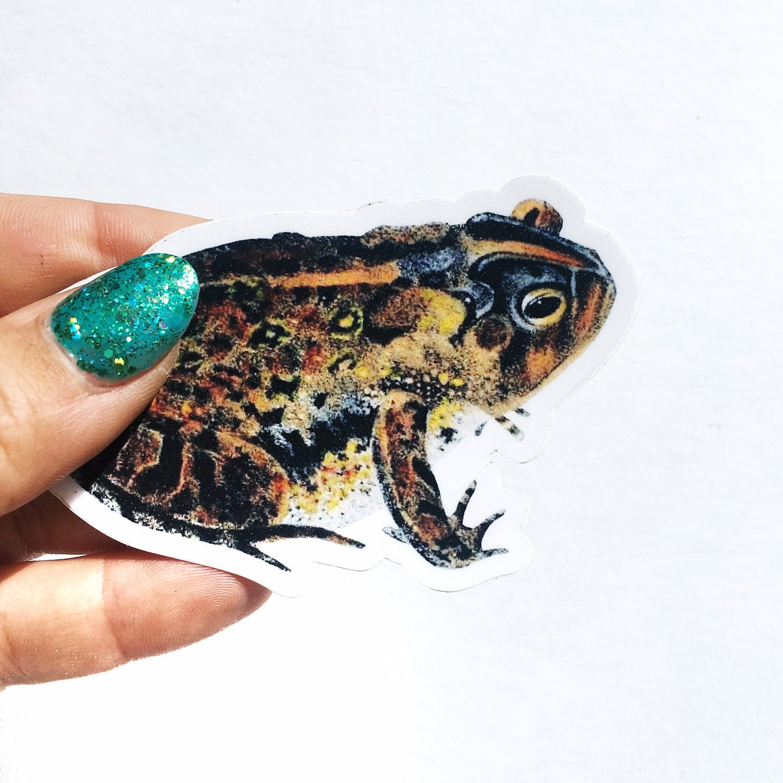 Frog Laptop Sticker, Antique Toad Vinyl Vintage Stickers, Fun Outdoor Car Decals, Laptop Decal Nonfade Waterbottle for men women kids friend - Thumbnail 3