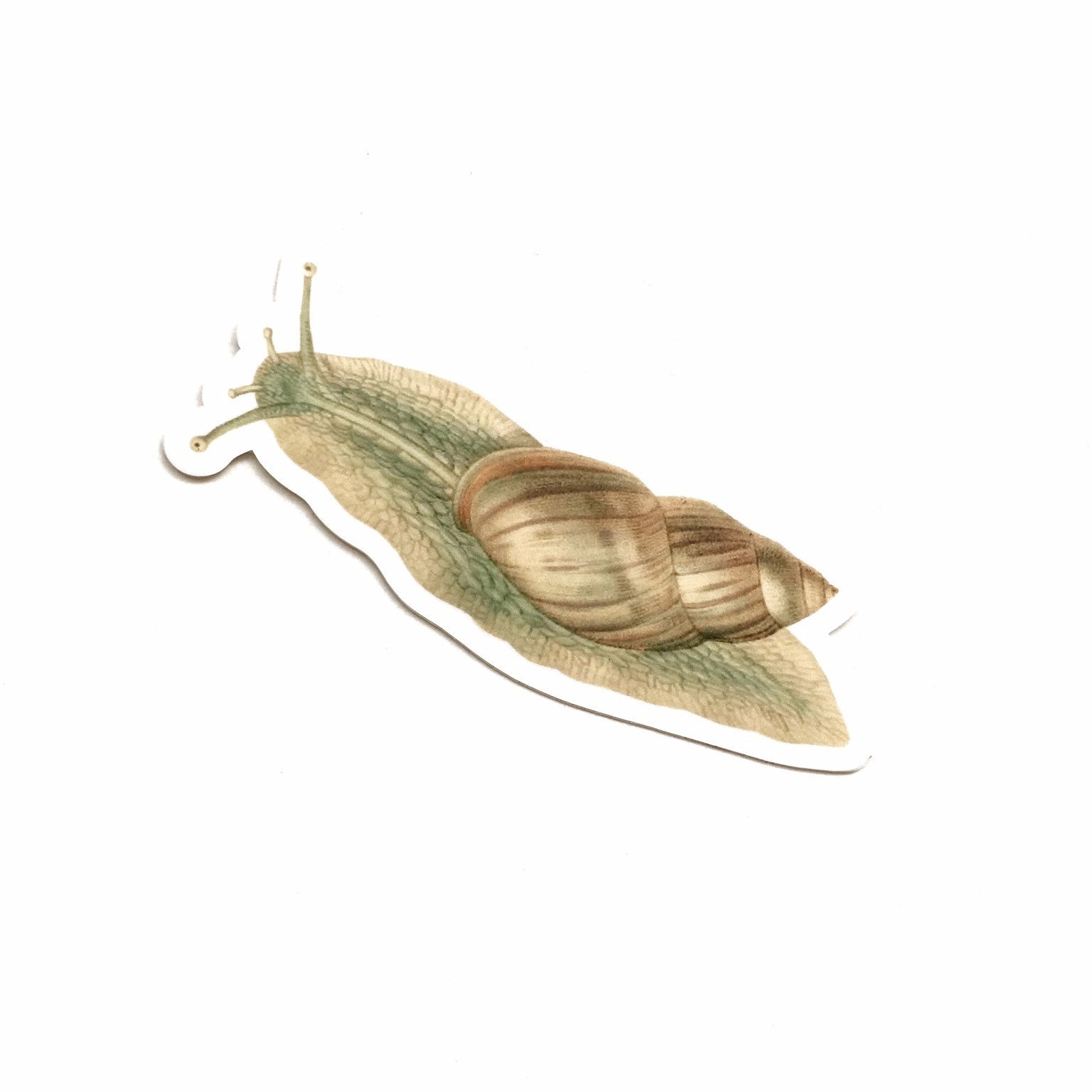 Snail Stickers, Vintage Botanical, Vinyl Sticker Pack, Junk Journal Stickers, Laptop Decals, Garden Decal, Goblincore Gardening Gifts - Thumbnail 5