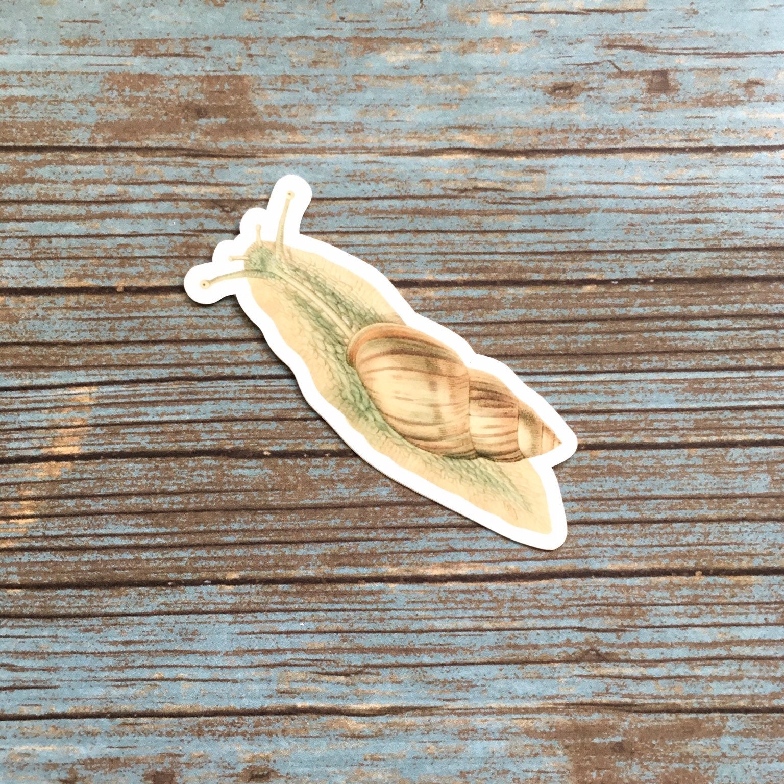 Snail Stickers, Vintage Botanical, Vinyl Sticker Pack, Junk Journal Stickers, Laptop Decals, Garden Decal, Goblincore Gardening Gifts - Thumbnail 4