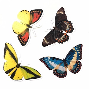 Butterfly Stickers, Vinyl Sticker Pack, Mix and Match Stickers, Retro Nonfade Vintage Botanische Sticker, Laptop MacBook Nature Antiek