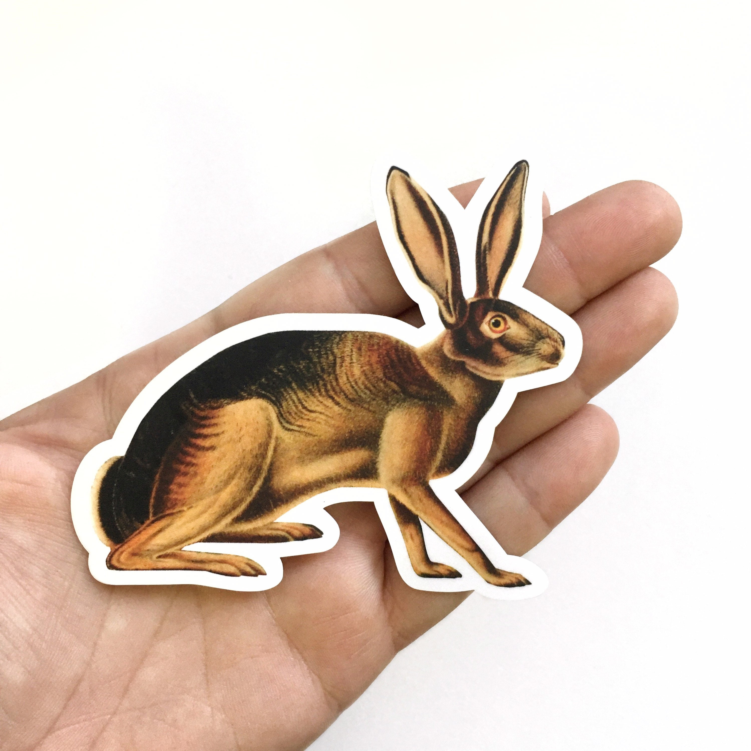 California Hare Sticker Pack, Naturalistic Vintage Vinyl Stickers, Rabbit Spooky Animal Decal, Laptop Decals, Antique Natural Durable