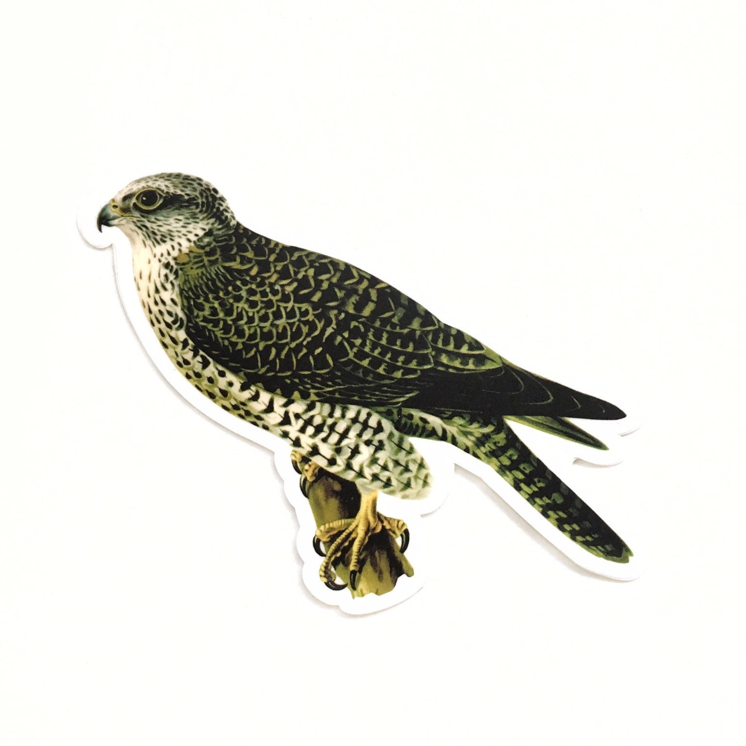 Falcon Stickers, Vinyl Hawk Sticker Pack, Bird Decal, Laptop Decals, Outdoor Waterbottle Bumper Yeti Bird of Prey, Birds Natural Nature - Thumbnail 4
