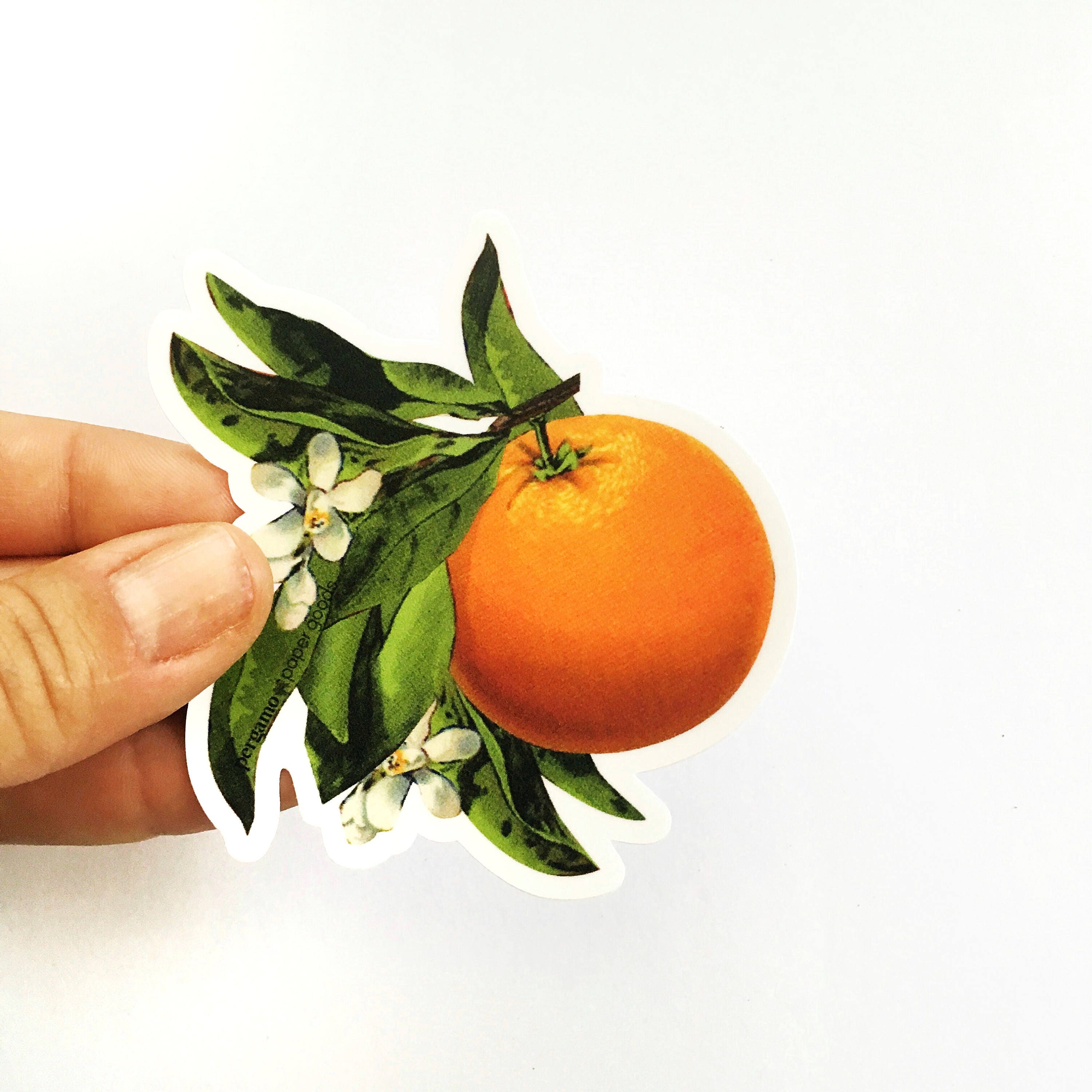 Orange Blossom Sticker, VSCO Vinyl Stickers Laptop, Retro Bumper Decals, Outdoor Car Flask Yeti Decal, Waterbottle Florida Vintage Botanical - Thumbnail 2