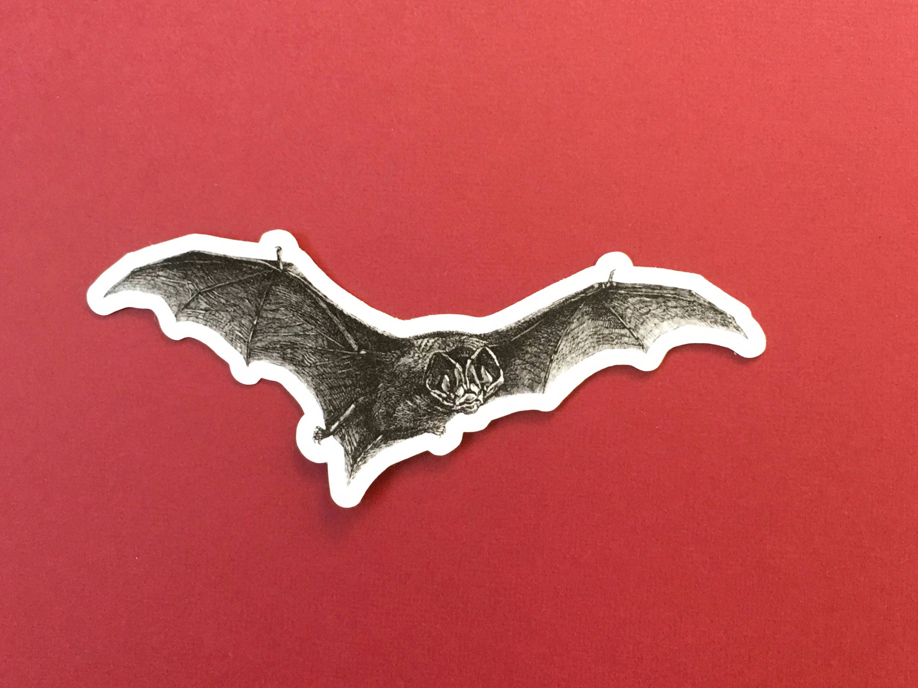 Vampire Bat Sticker, Durable Vintage Halloween Vinyl Stickers, Weird Creepy Laptop Sticker Pack Hydroflask Waterbottle Lowbrow High Quality - Thumbnail 2