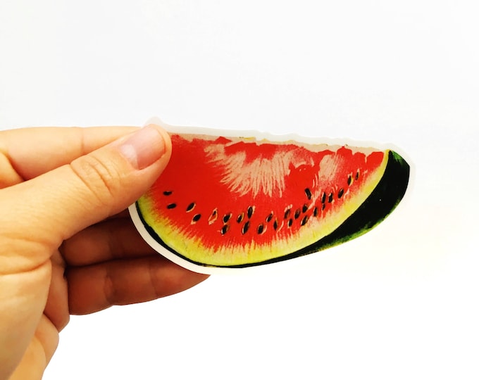 Red Fish Sticker Soldierfish Vinyl Vintage Stickers Bumper - Etsy