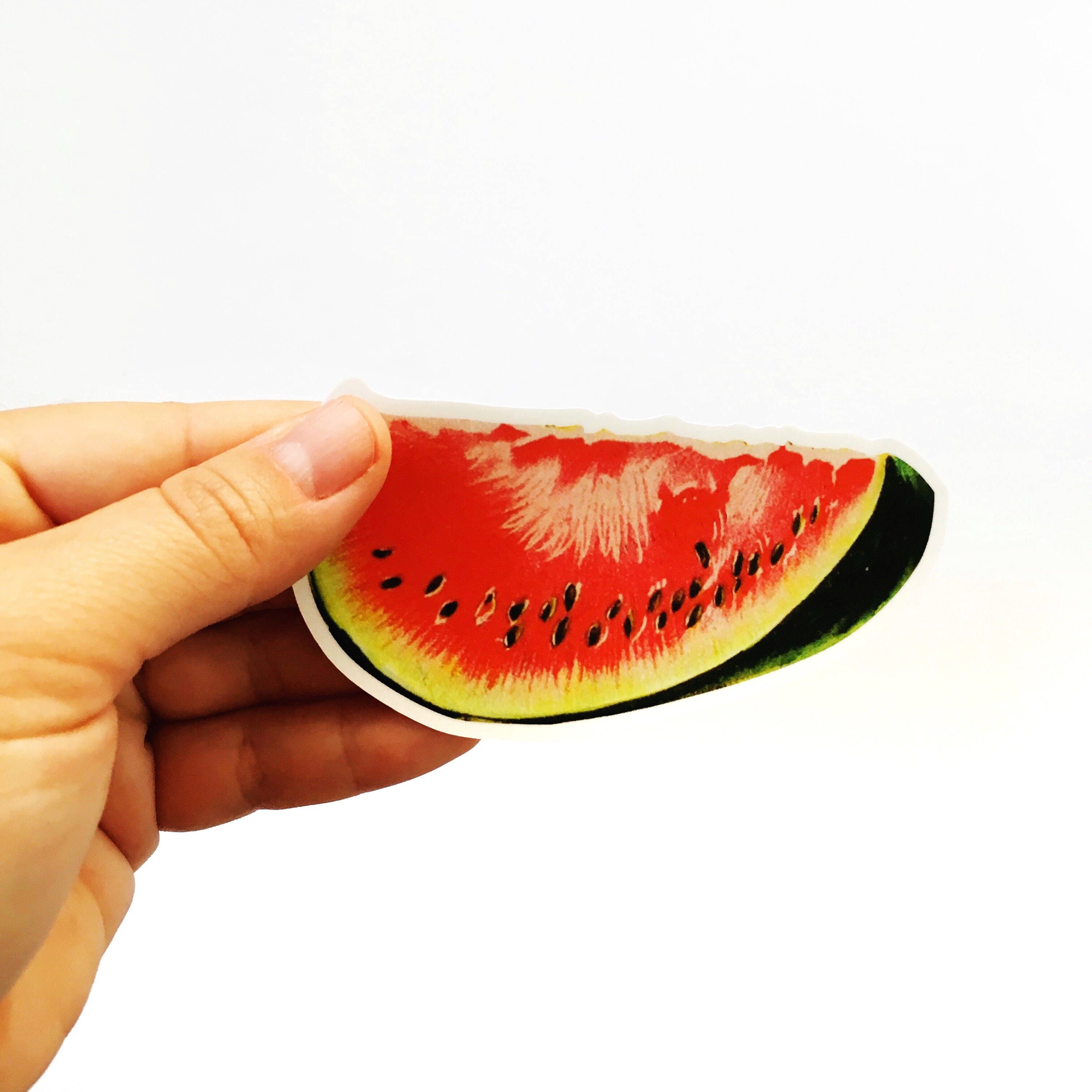 Watermelon Sticker, Vinyl Vintage Stickers, Bumper Decal, Laptop Decals, Outdoor Nonfade Durable, Fruit Label Juicy Summer Pink, Wholesale