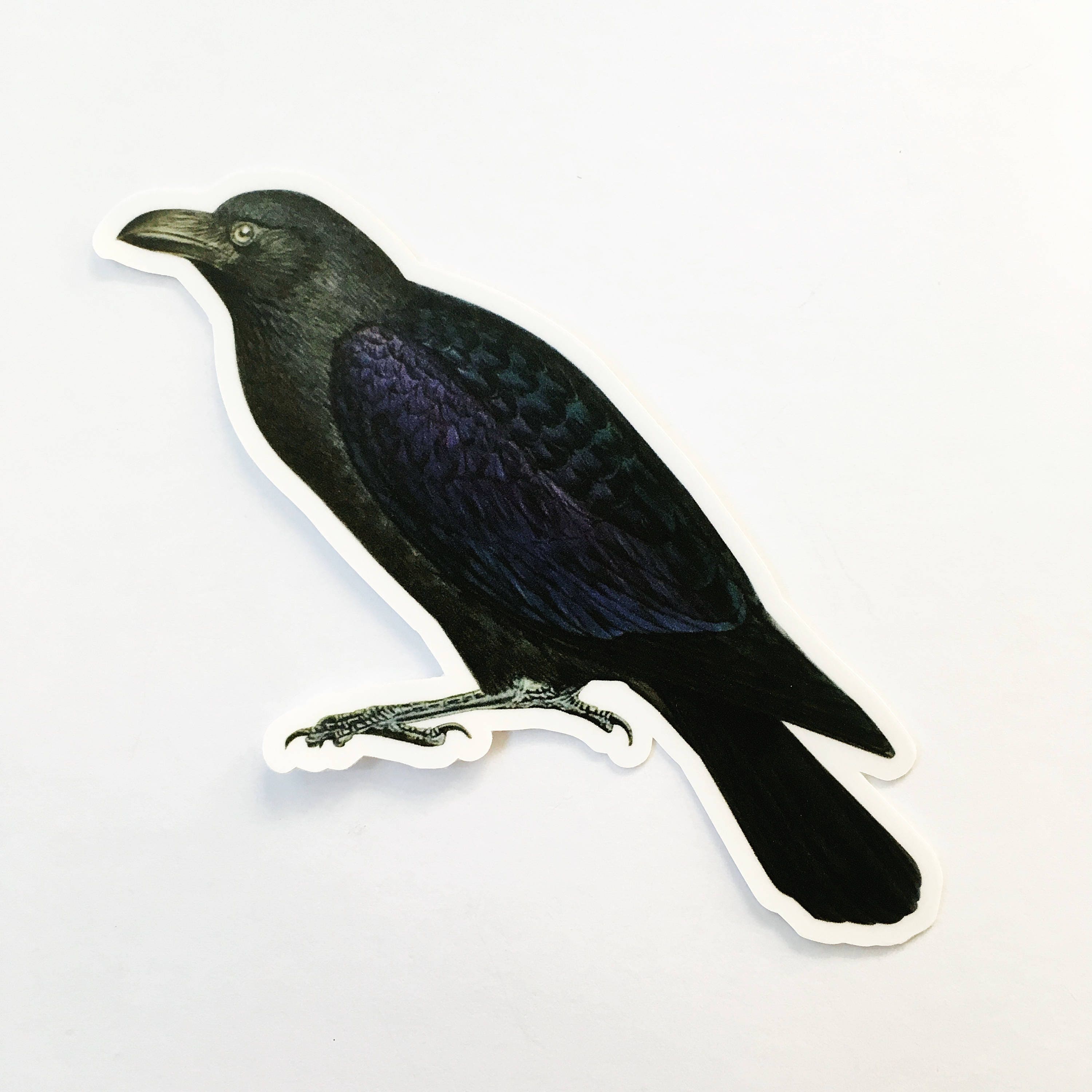 Black Crow Sticker, Naturalistic Vintage Raven Vinyl Stickers Laptop, Creepy Vinyl Decal, Halloween Dark Horror Goblincore Wholesale Decals - Thumbnail 3