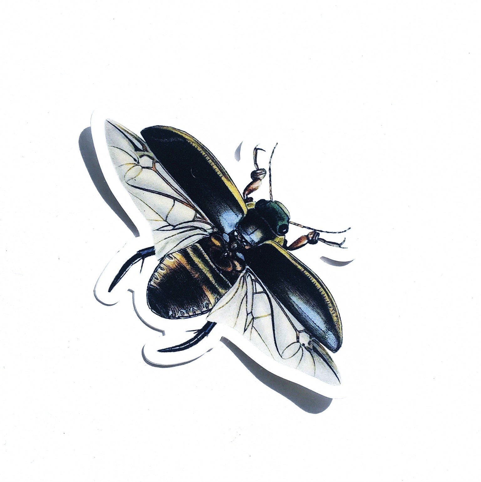 Vintage Beetle Sticker, Antique Scarab Vinyl Laptop Sticker Pack, Badass Car Spooky Stickers, Outdoor Decal, Egyptian Nonfade Biker Decals - Thumbnail 3