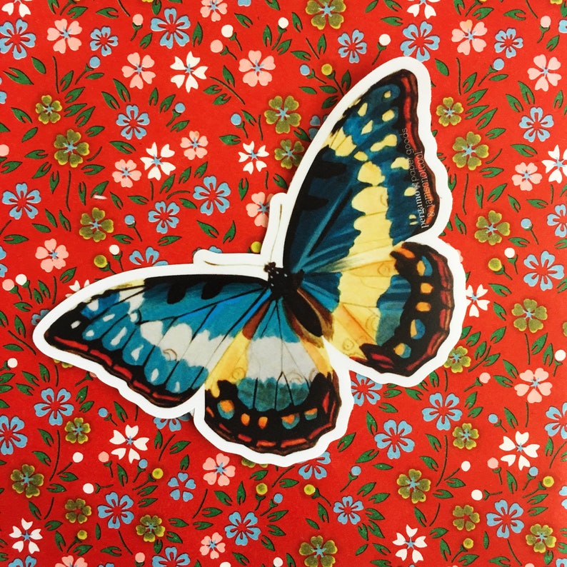 butterfly laptop sticker valentines gift vinyl vintage etsy