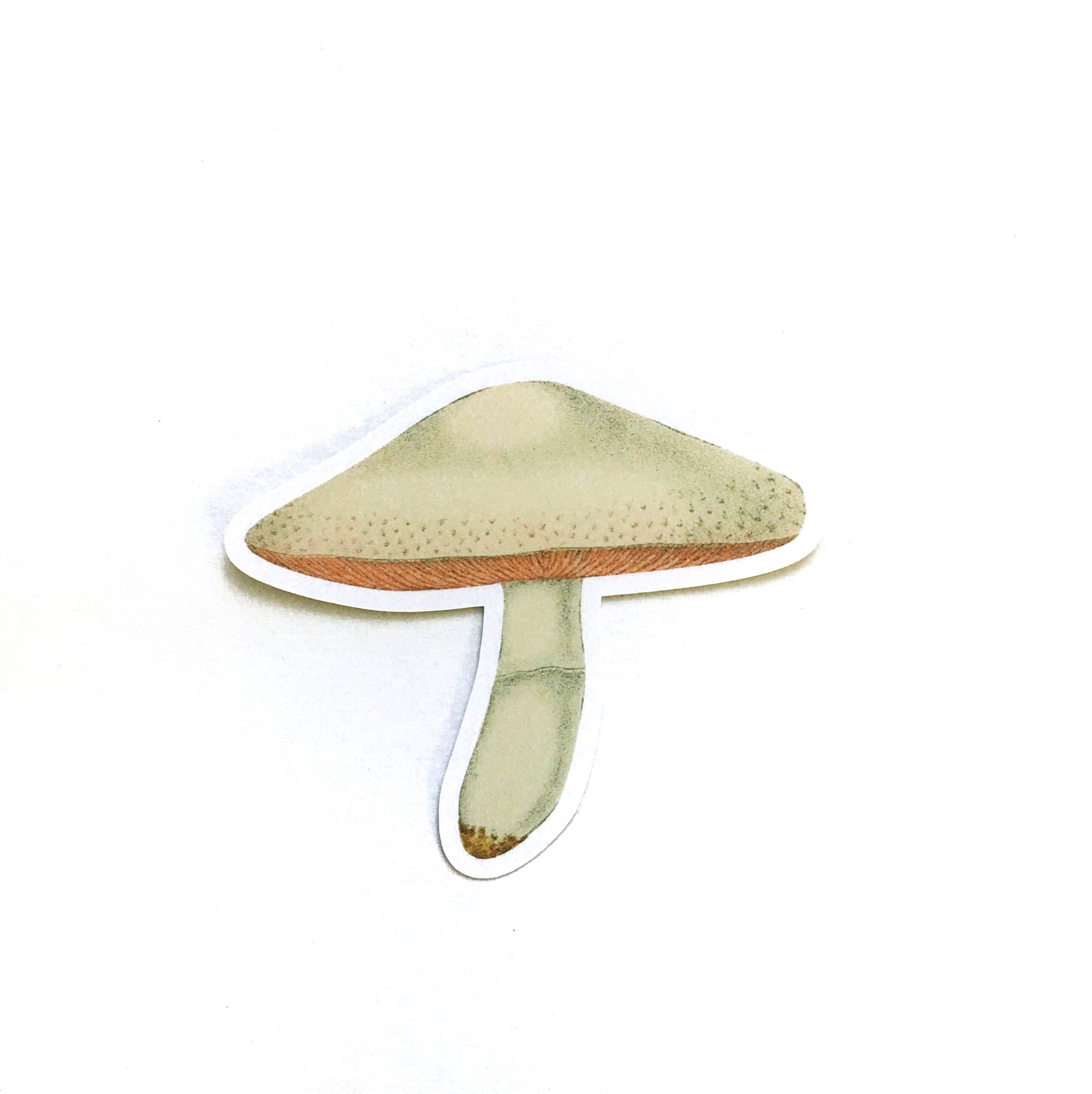 Mushroom Laptop Stickers, Vintage Botanical Vinyl Sticker Pack, Bumper Sticker, Nature Outdoor Decal, Alice in Wonderland, Wholesale Decals - Thumbnail 2