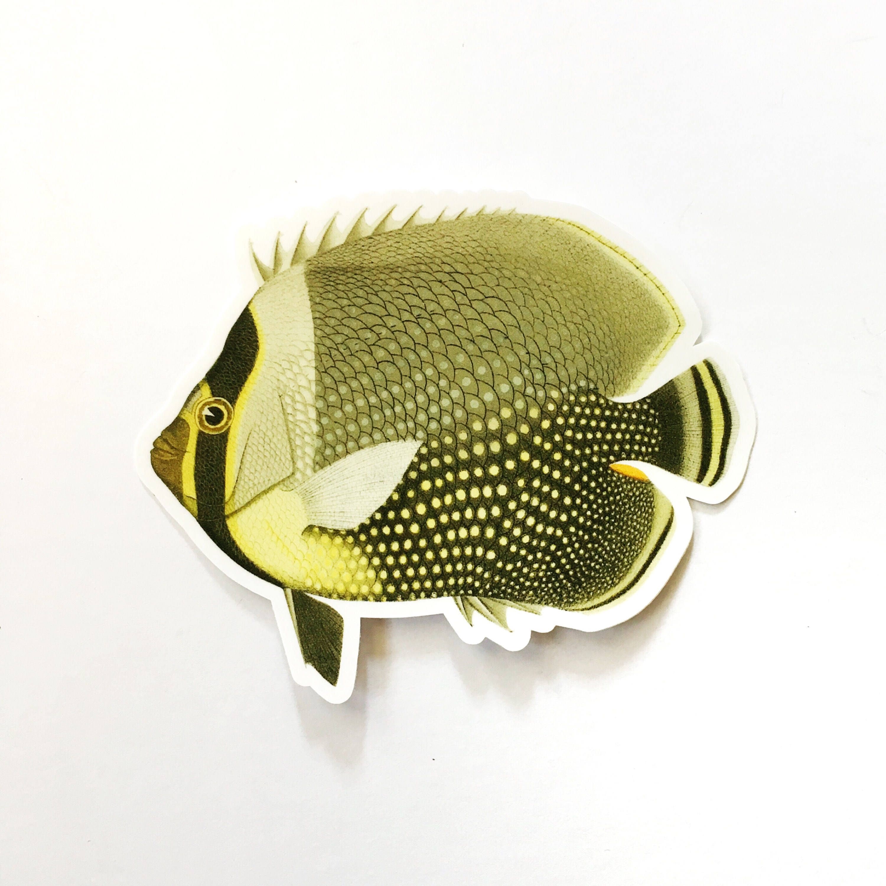 Butterflyfish Sticker, Vinyl Vintage Fish Stickers, Bumper Laptop Decal, Macbook Bottle Hydroflask Decals for Scuba Divers, Ocean Diving - Thumbnail 3