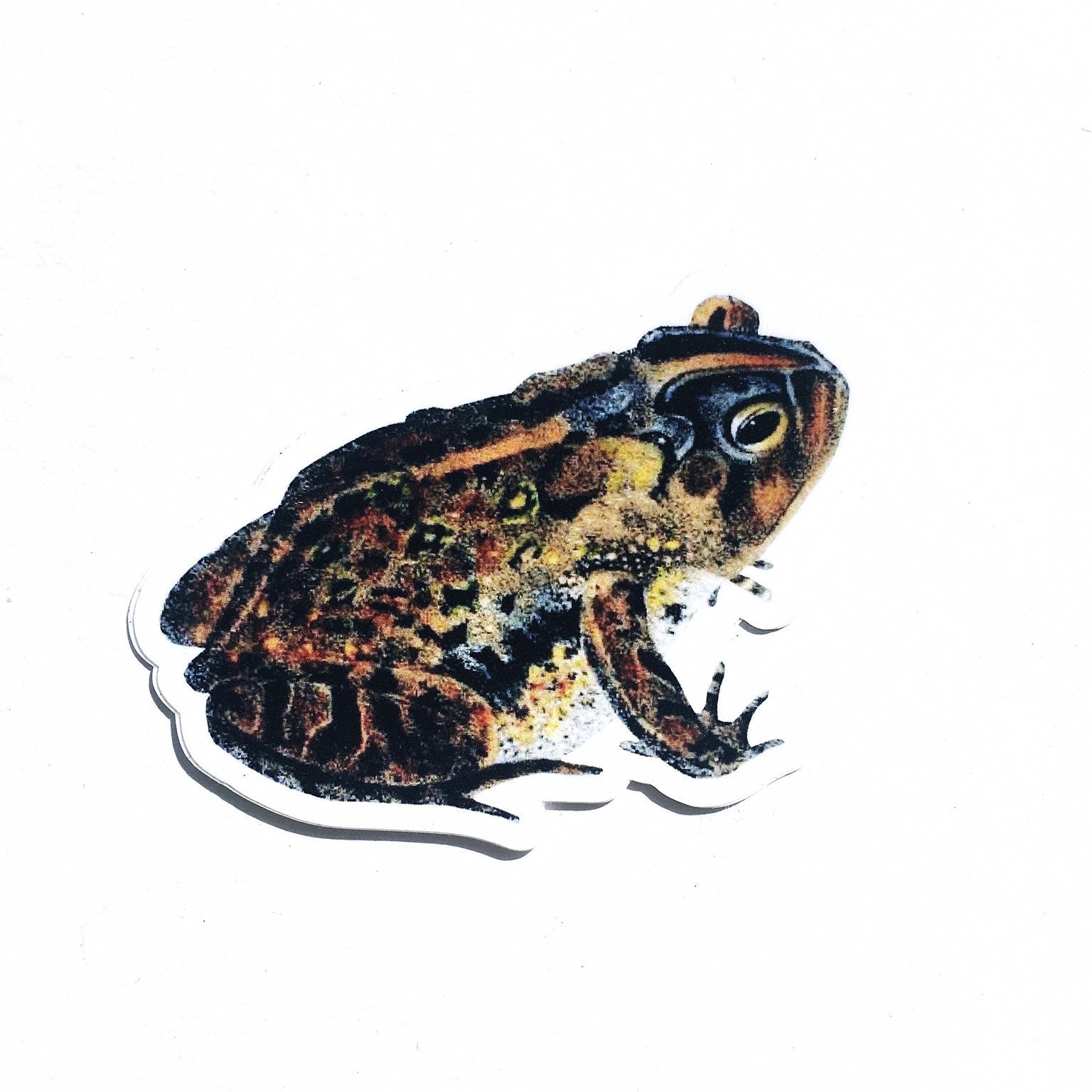 Frog Laptop Sticker, Antique Toad Vinyl Vintage Stickers, Fun Outdoor Car Decals, Laptop Decal Nonfade Waterbottle for men women kids friend - Thumbnail 2