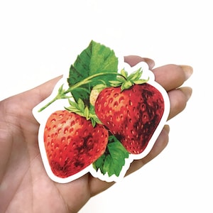 May include: A sticker depicting two red strawberries with green leaves and stems. The strawberries have a textured appearance against a white background. The sticker is held in a hand.