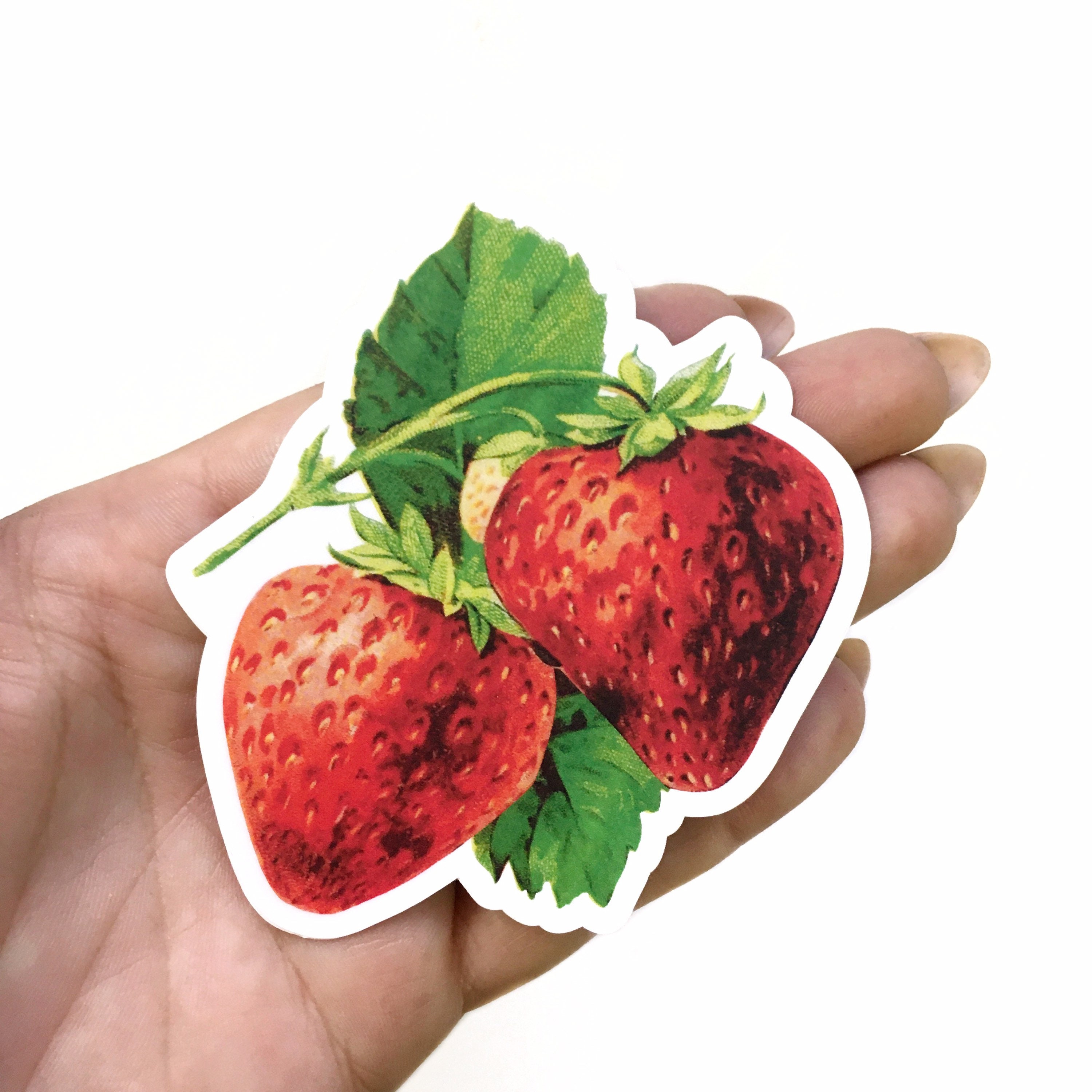 Strawberry Sticker, Vintage Fruit Decal Pack, Flower Vinyl Stickers Laptop, Berry Plant Decals, Macbook Junk Journal, Cottagecore Gifts - Thumbnail 2