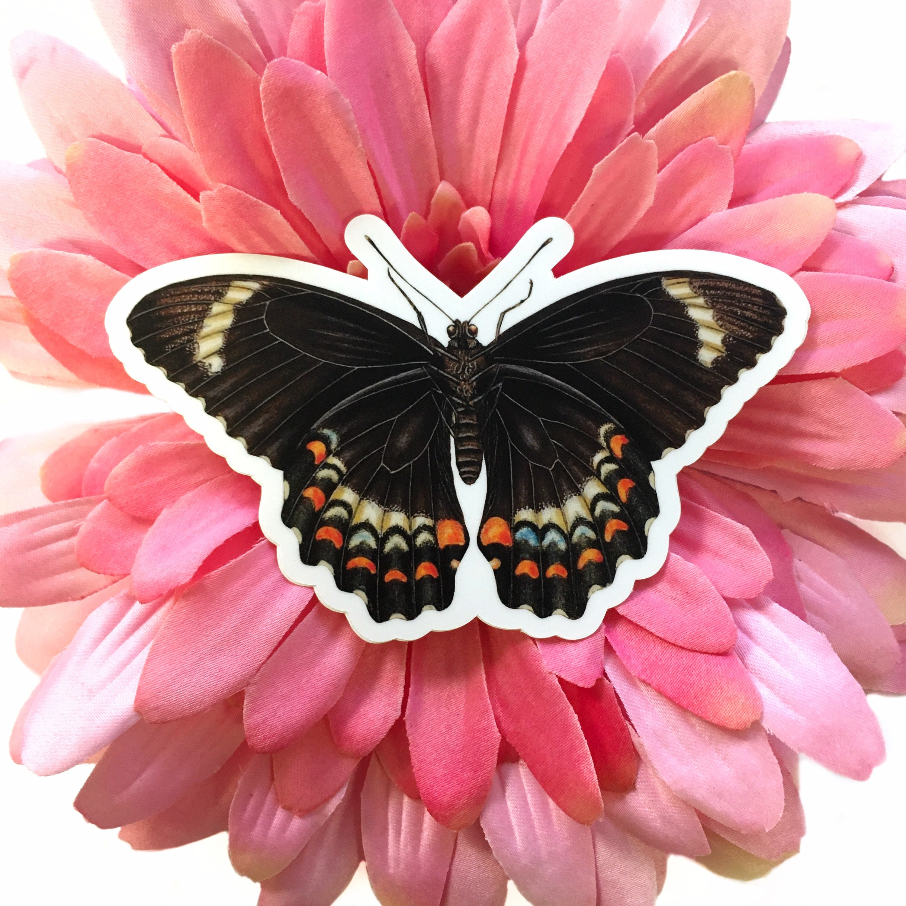 Black Butterfly Stickers, Vintage Sticker Pack, Durable Decals for Junk Journal, MacBook Decal for Laptop, Antique Illustrated Gifts - Thumbnail 3