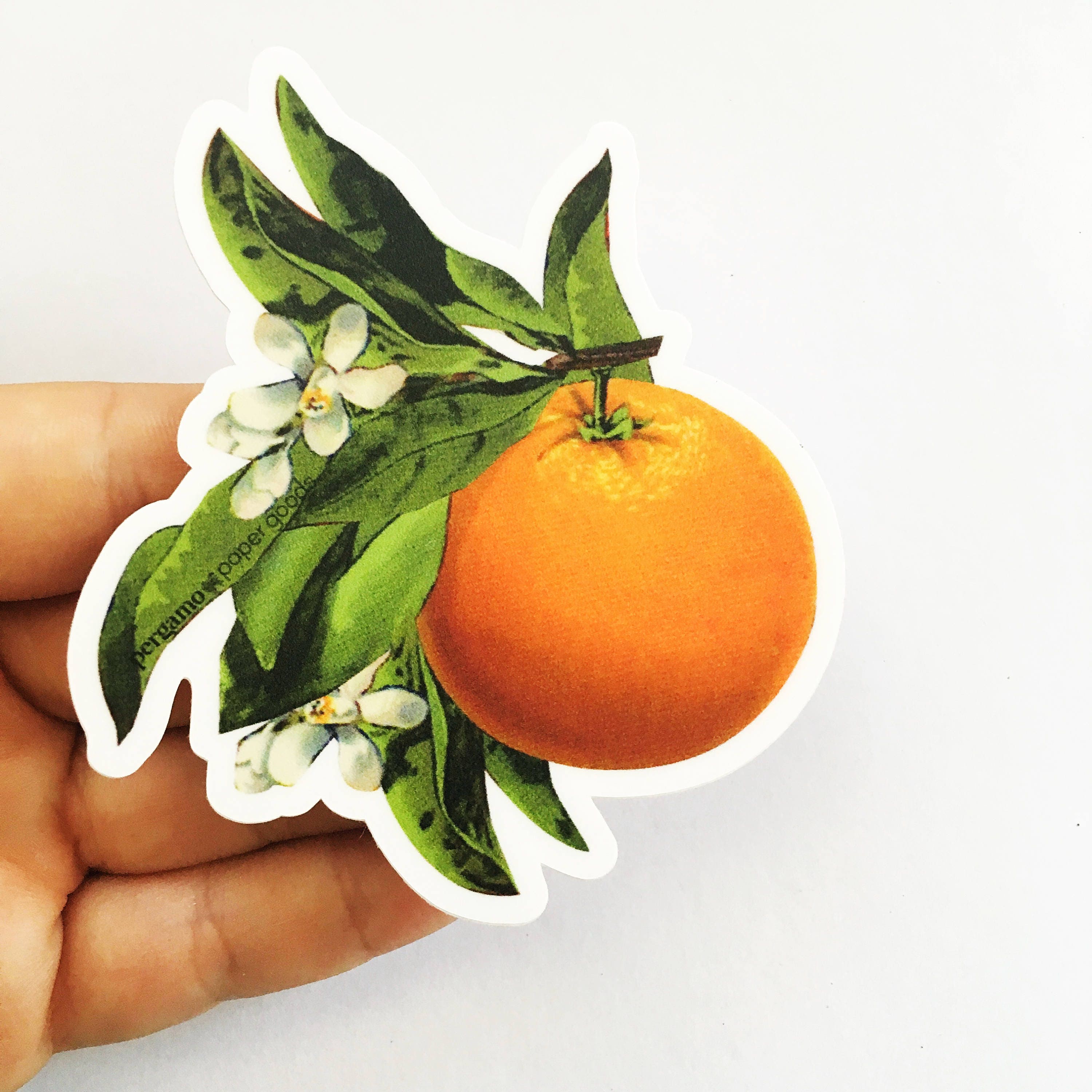 Orange Blossom Sticker, VSCO Vinyl Stickers Laptop, Retro Bumper Decals, Outdoor Car Flask Yeti Decal, Waterbottle Florida Vintage Botanical - Thumbnail 5