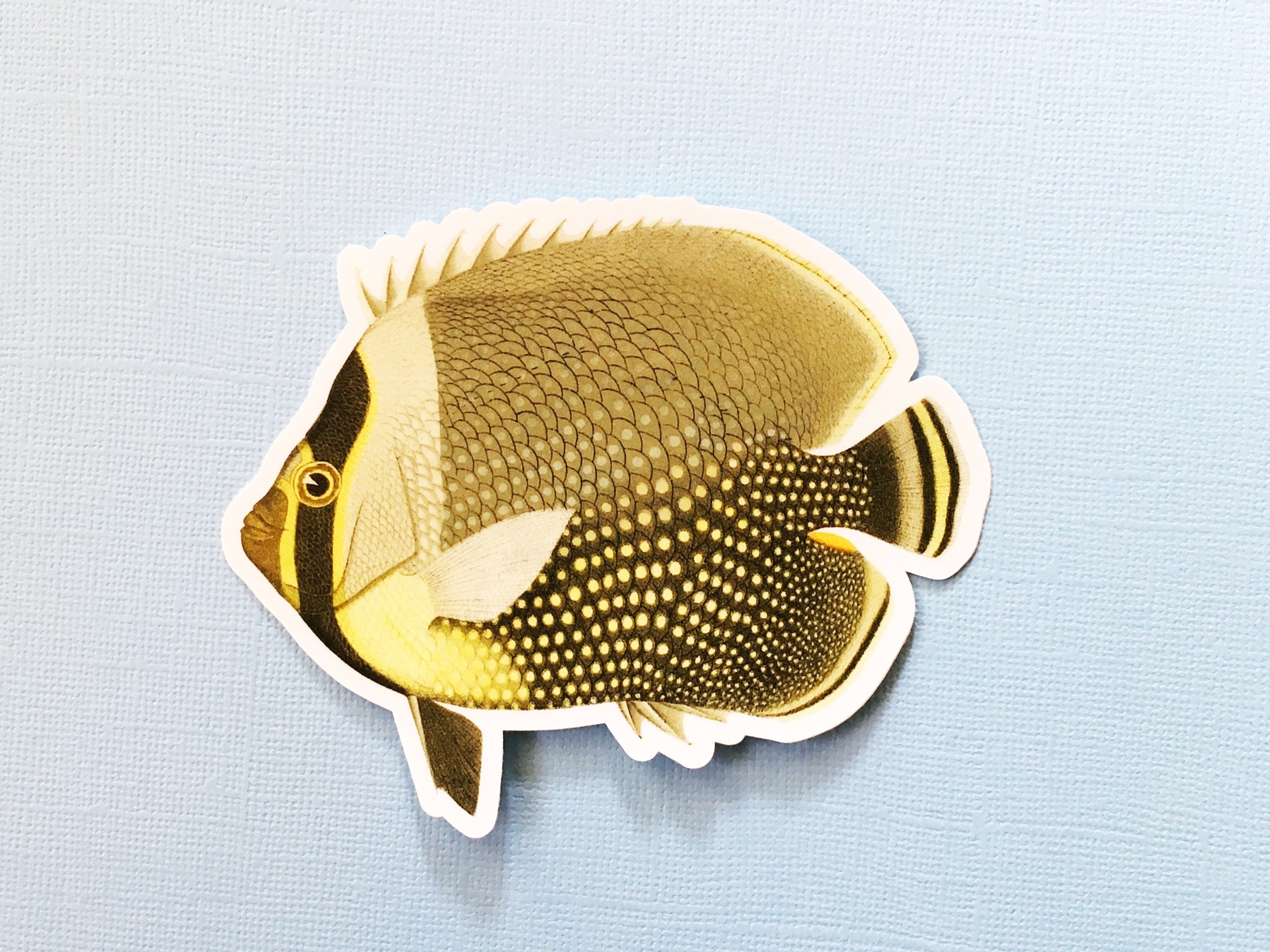 Butterflyfish Sticker, Vinyl Vintage Fish Stickers, Bumper Laptop Decal, Macbook Bottle Hydroflask Decals for Scuba Divers, Ocean Diving - Thumbnail 2