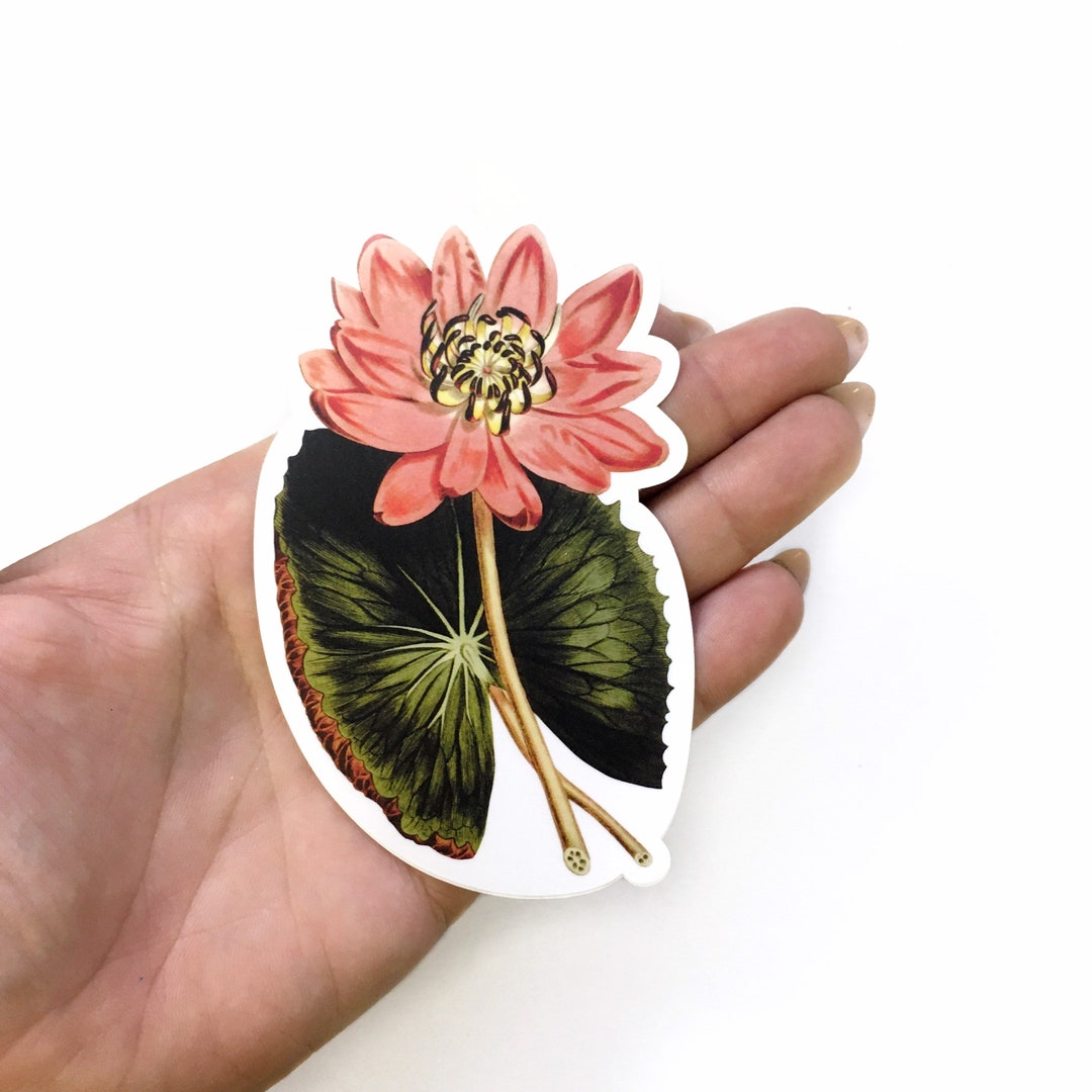 Lily Sticker Water Lily Sticker, Leaf Flower Vinyl Stickers Laptop, Vintage ...