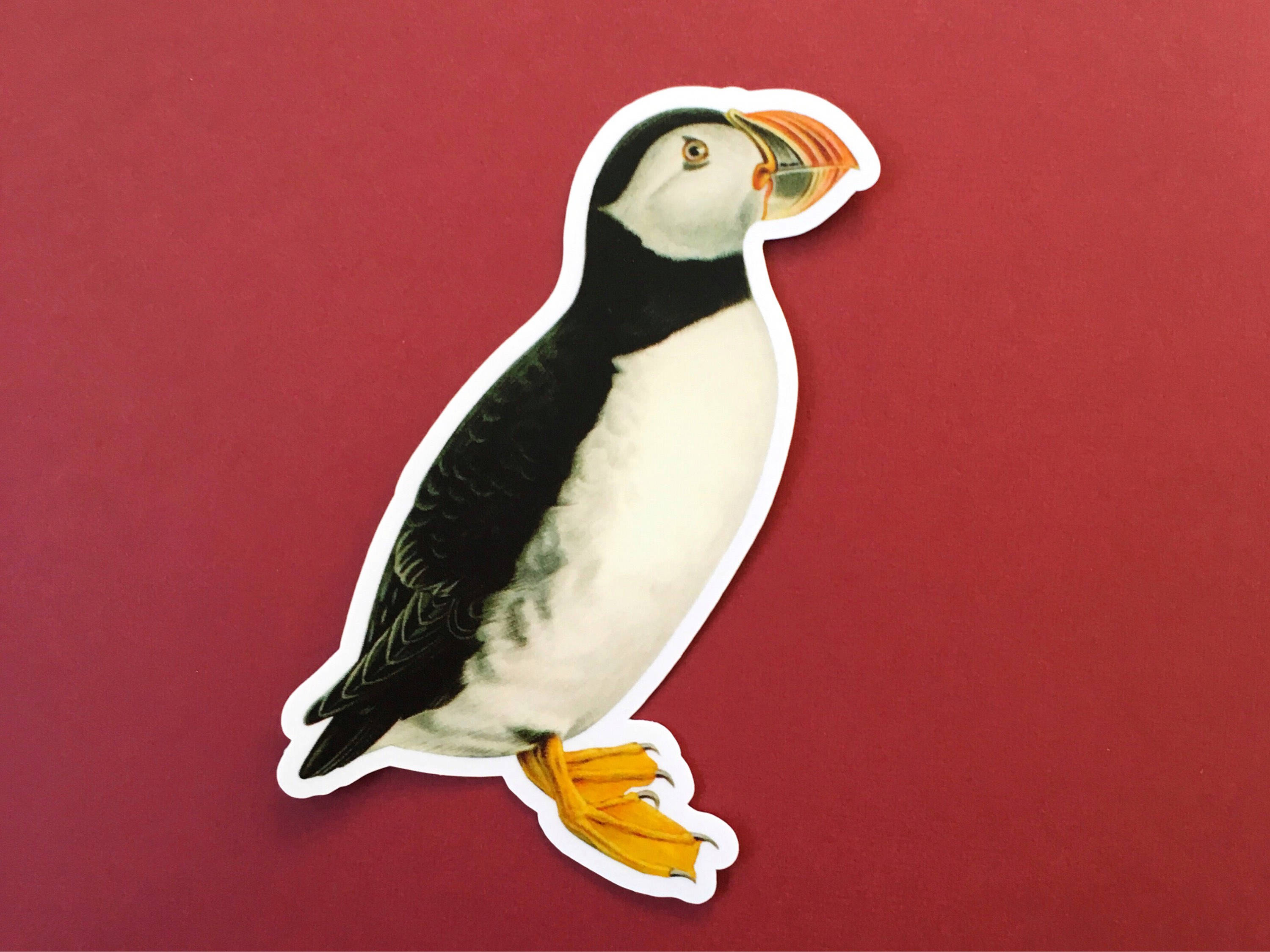 Puffin Sticker, Vinyl Vintage Stickers Laptop Bumper Sticker Pack, Durable Outdoor Decal, Gifts for Bird Lover, Watcher Watching Gift Maine